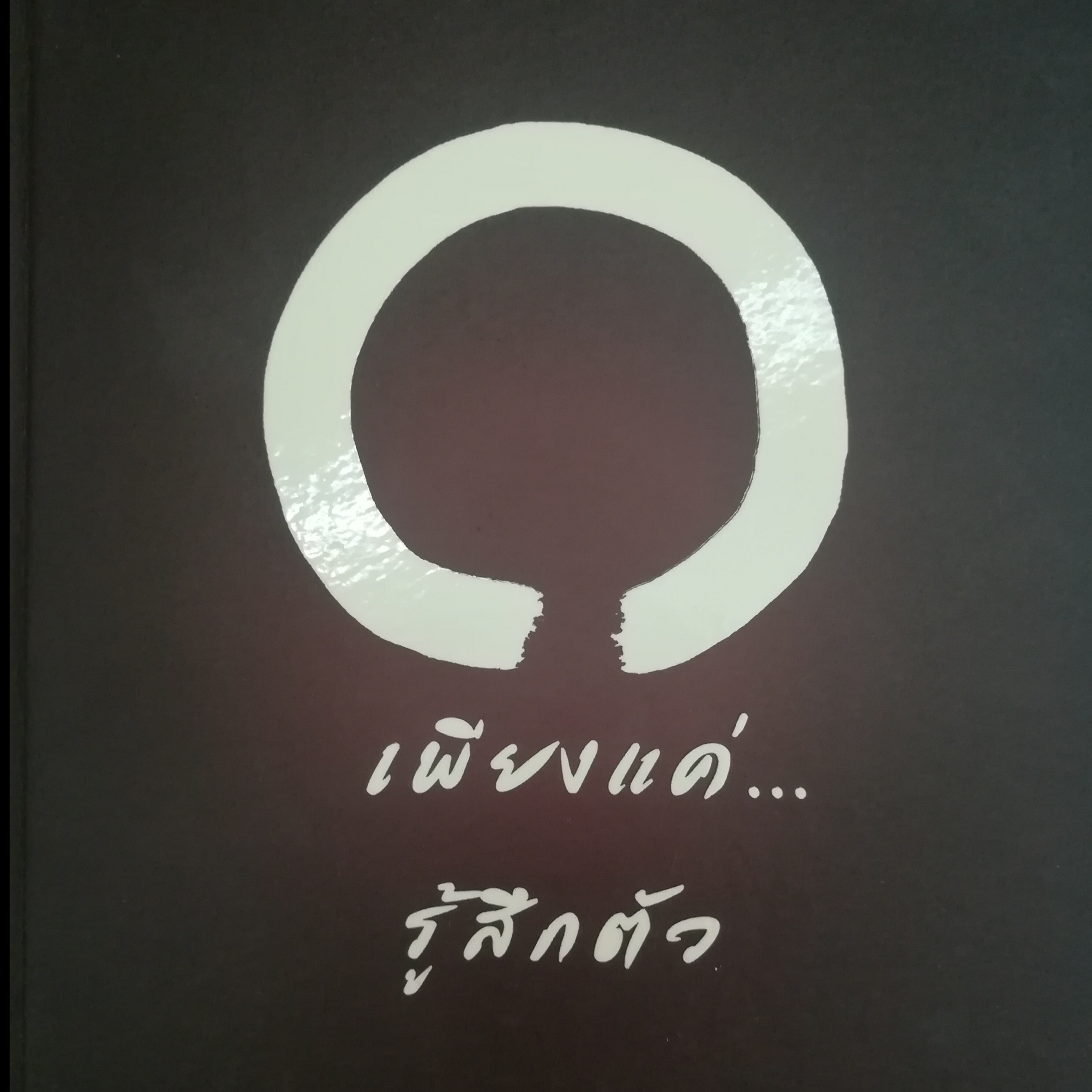 เพียงแค่...รู้สึกตัว หน้า 133 episode artwork