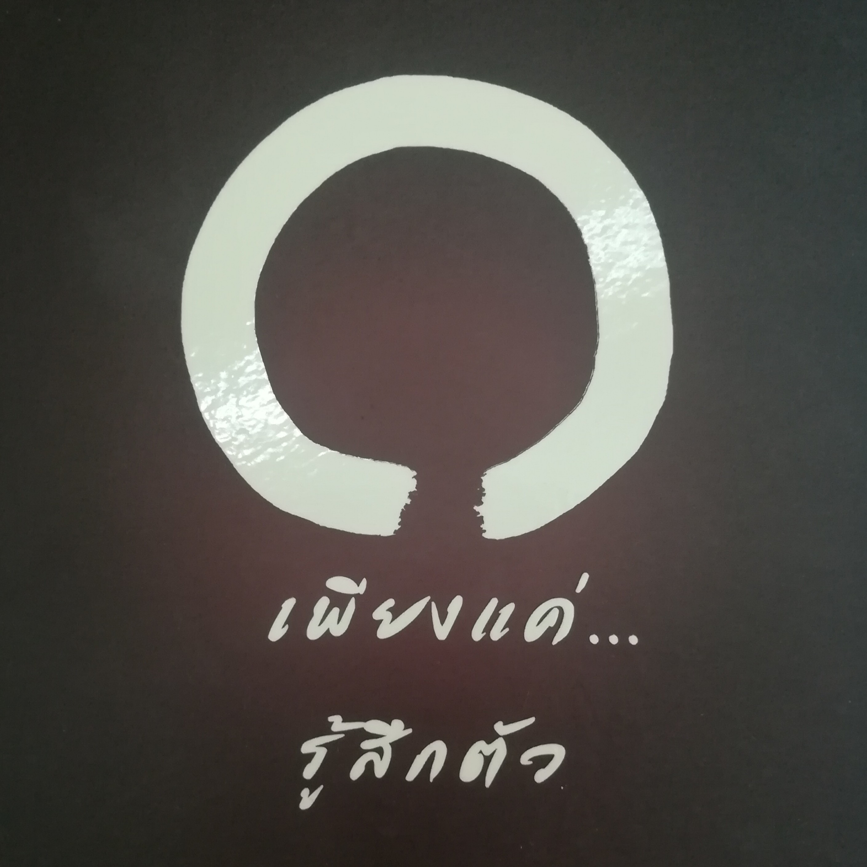 เพียงแค่...รู้สึกตัว หน้า 200 episode artwork