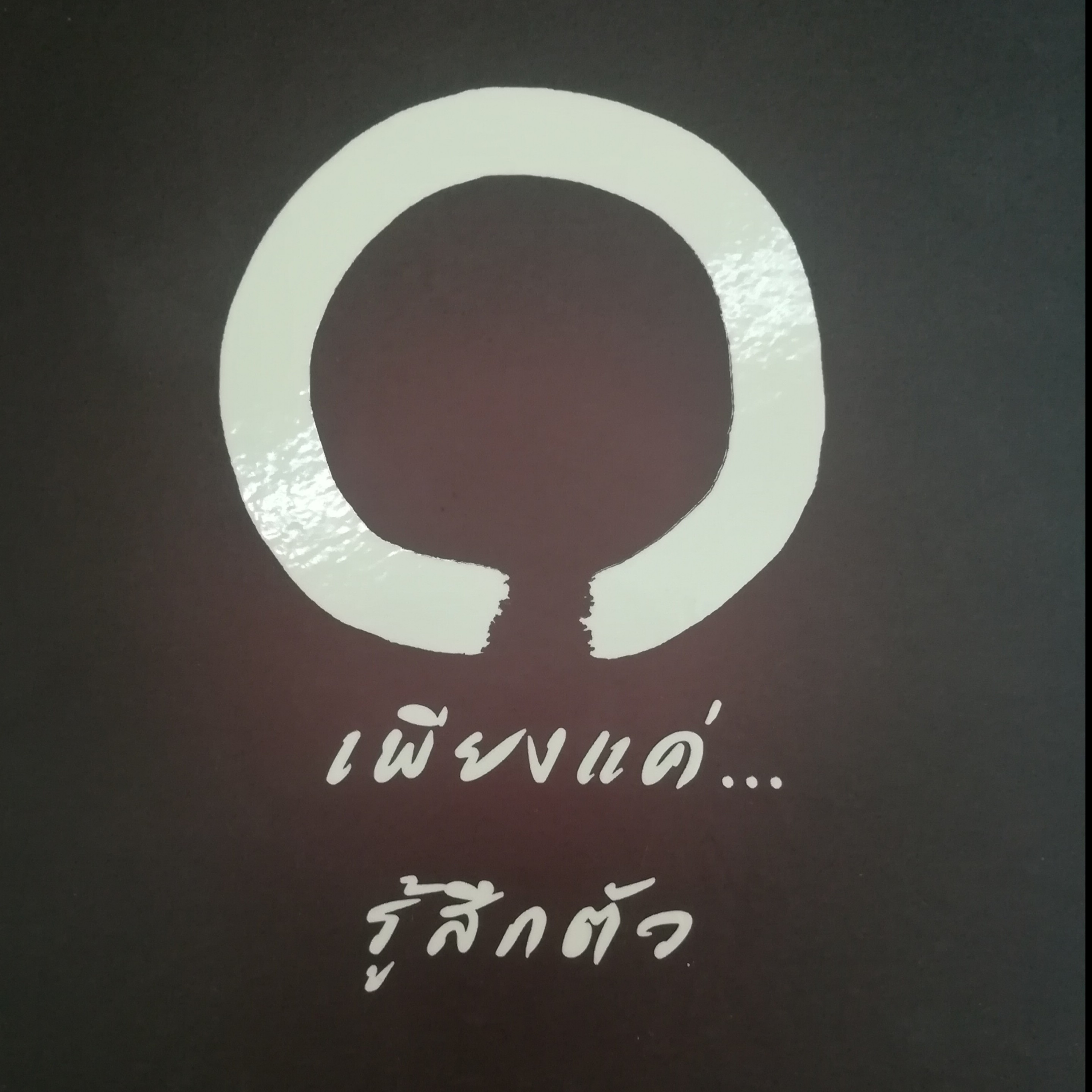 เพียงแค่...รู้สึกตัว หน้า 216 episode artwork
