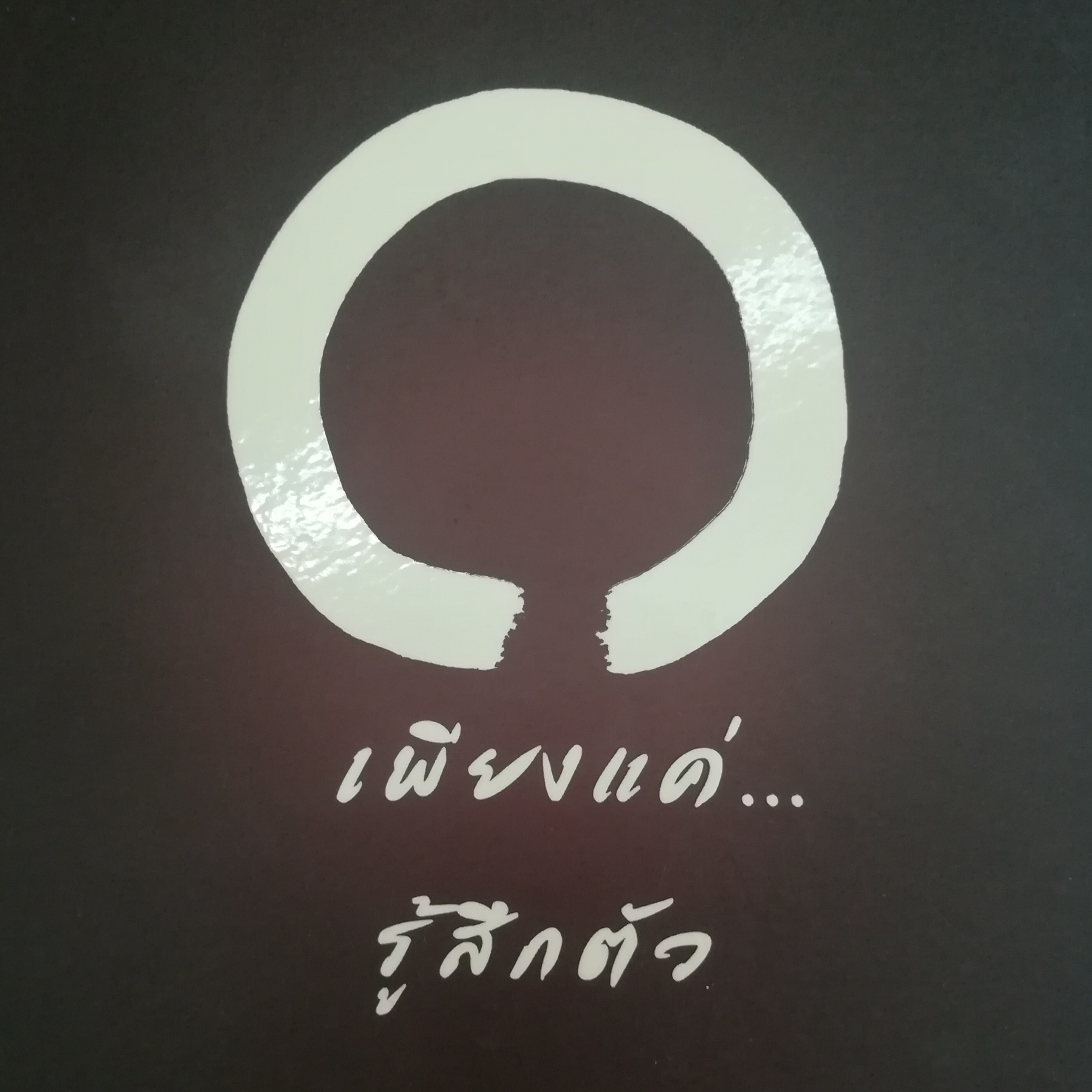 เพียงแค่...รู้สึกตัว หน้า 217 episode artwork