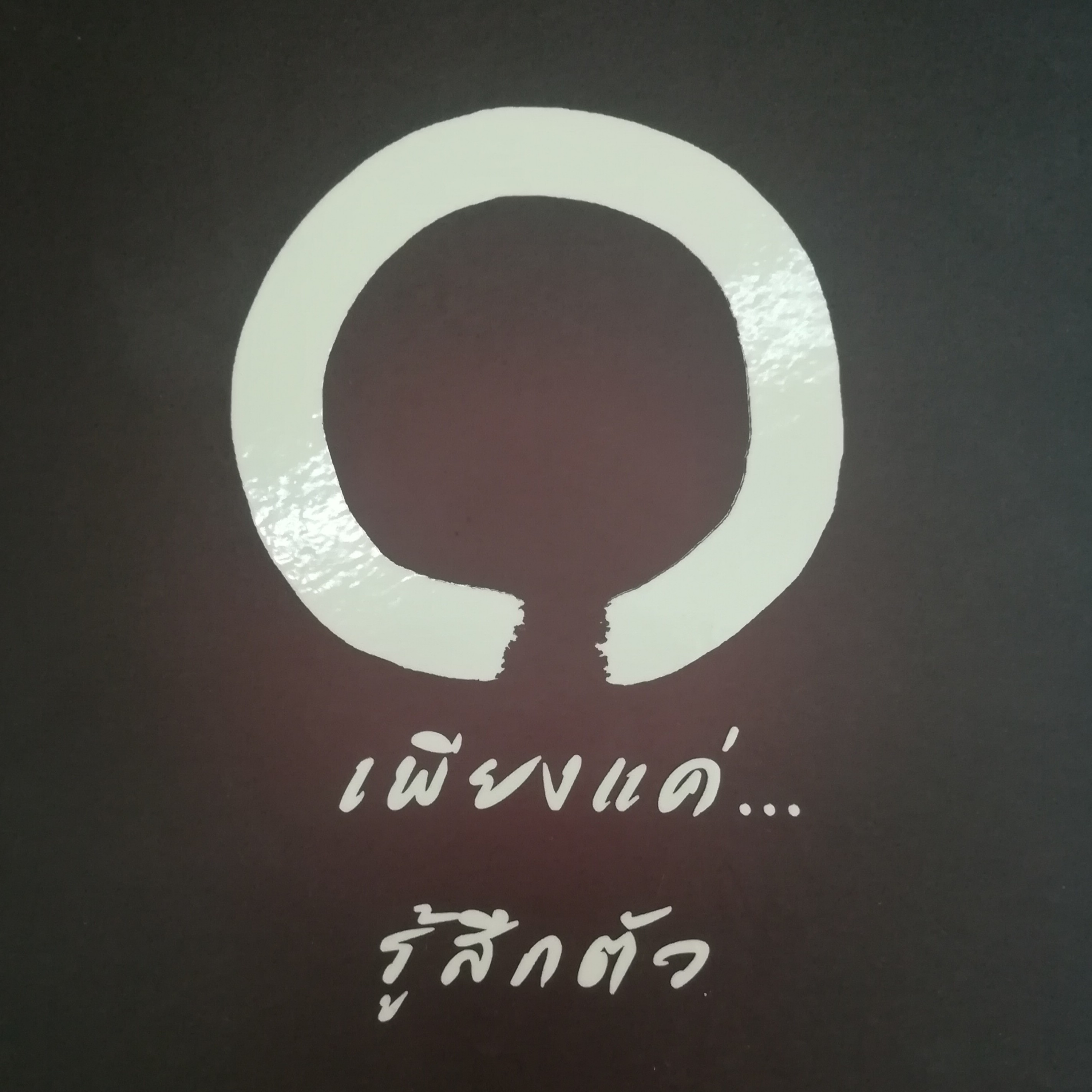 เพียงแค่...รู้สึกตัว หน้า 222 episode artwork