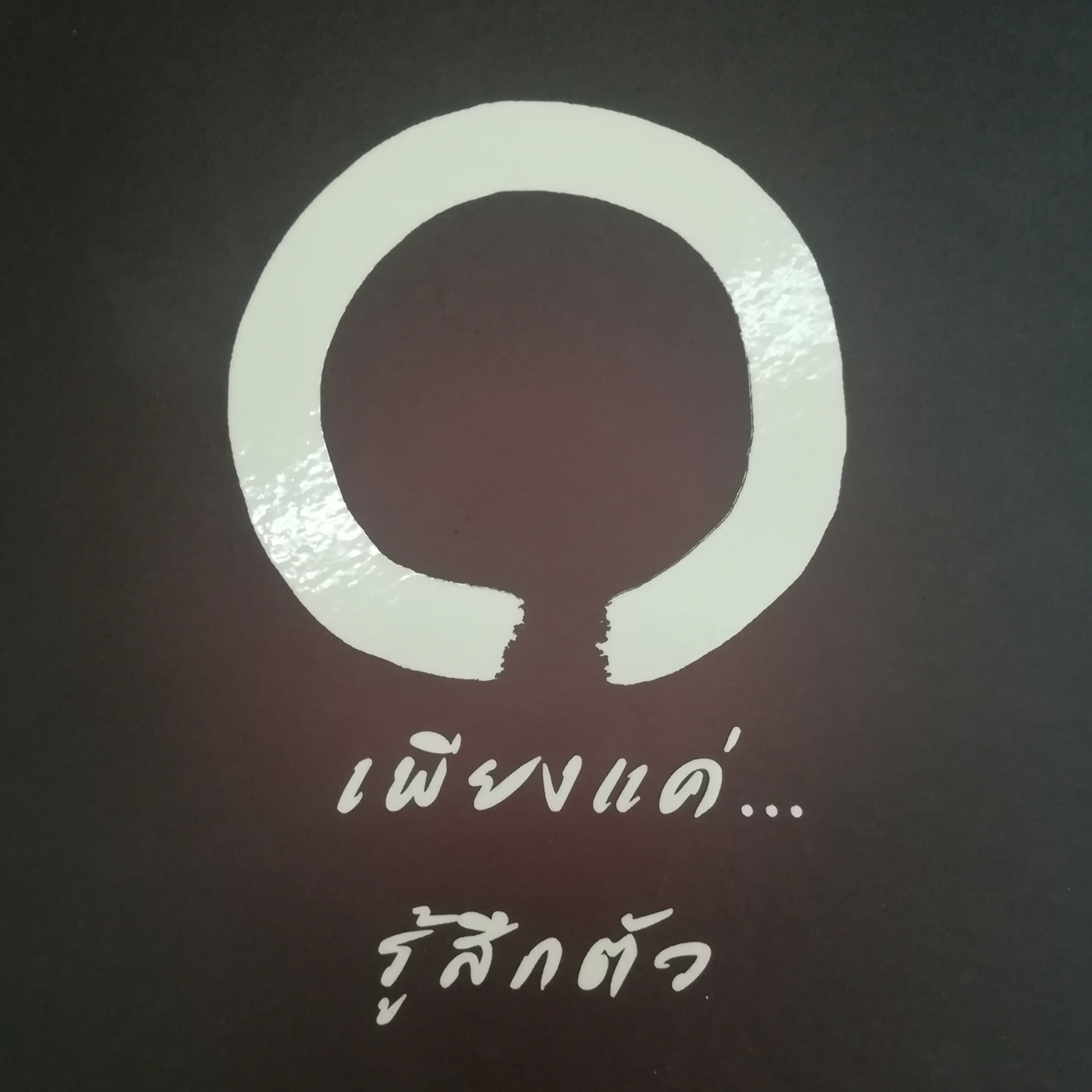 เพียงแค่...รู้สึกตัว หน้า 229 episode artwork