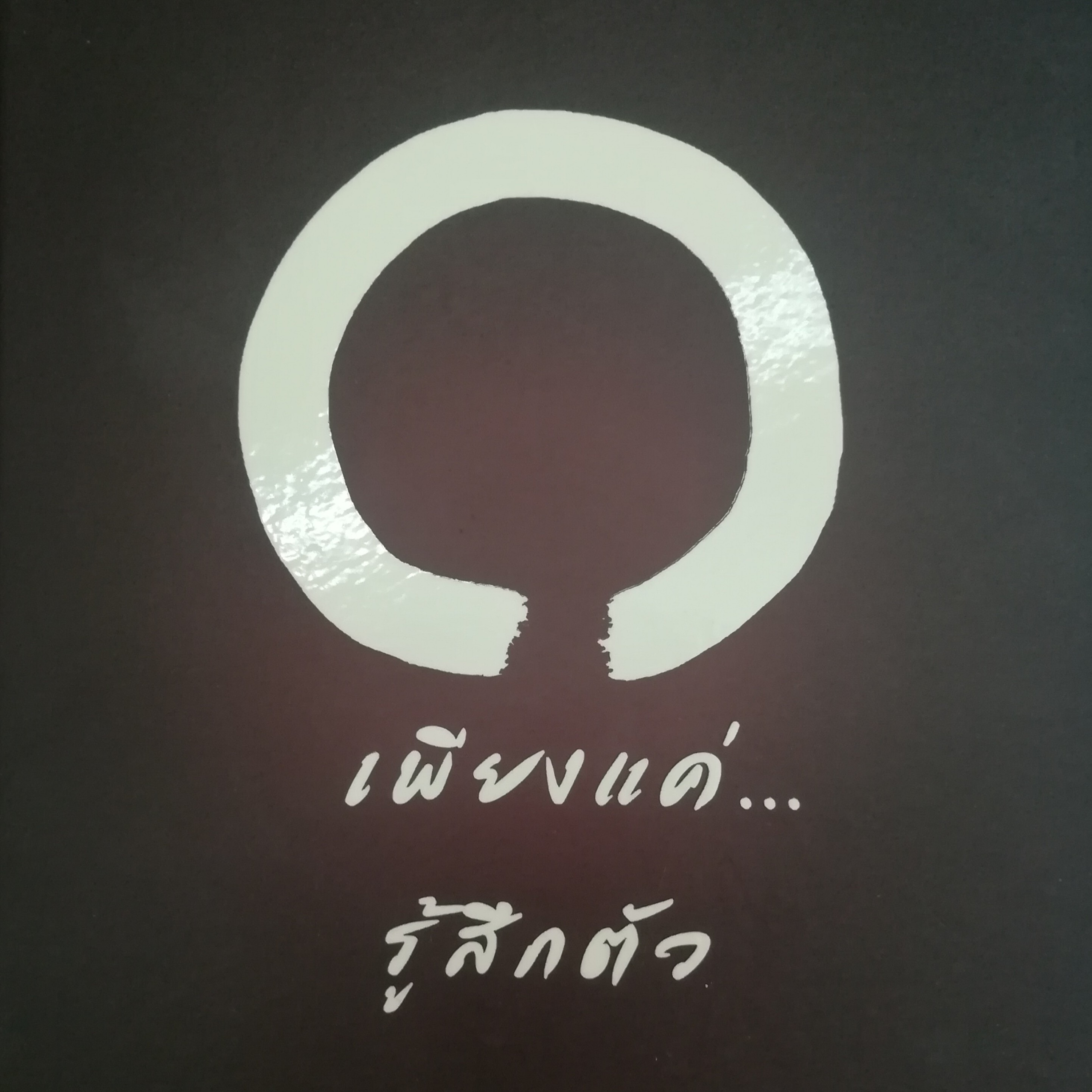 เพียงแค่...รู้สึกตัว หน้า 243 episode artwork