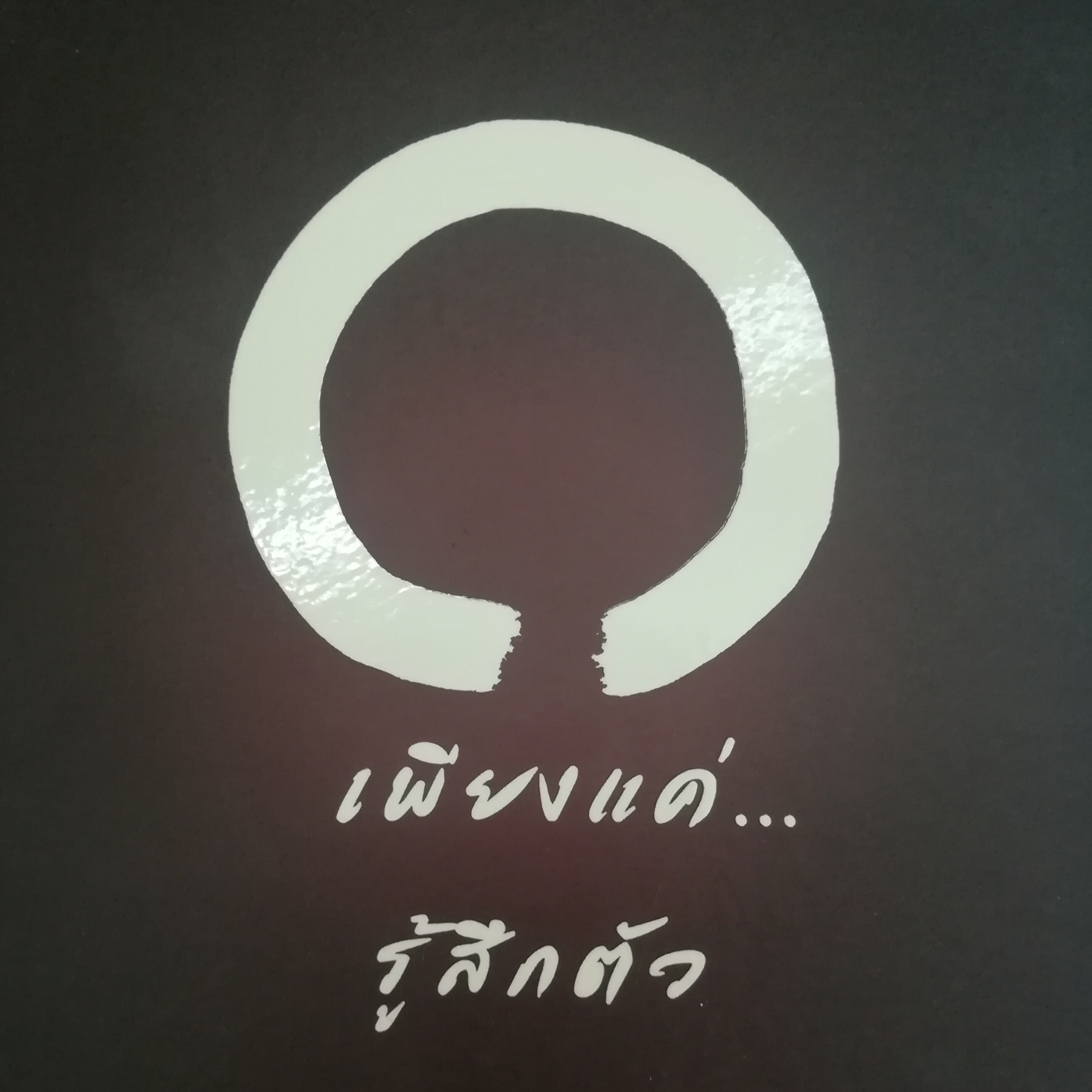 เพียงแค่...รู้สึกตัว หน้า 246 episode artwork