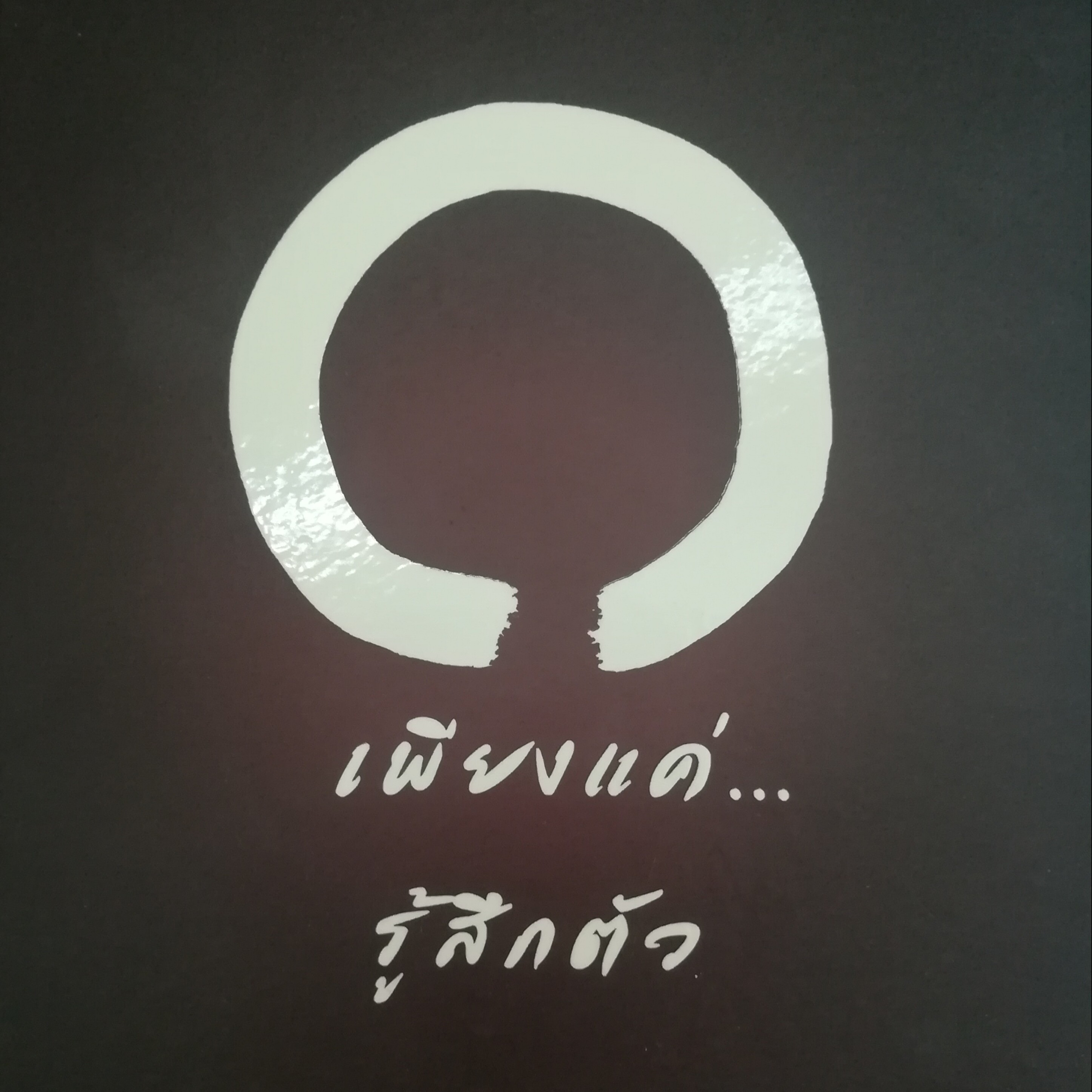 เพียงแค่...รู้สึกตัว หน้า 250 episode artwork