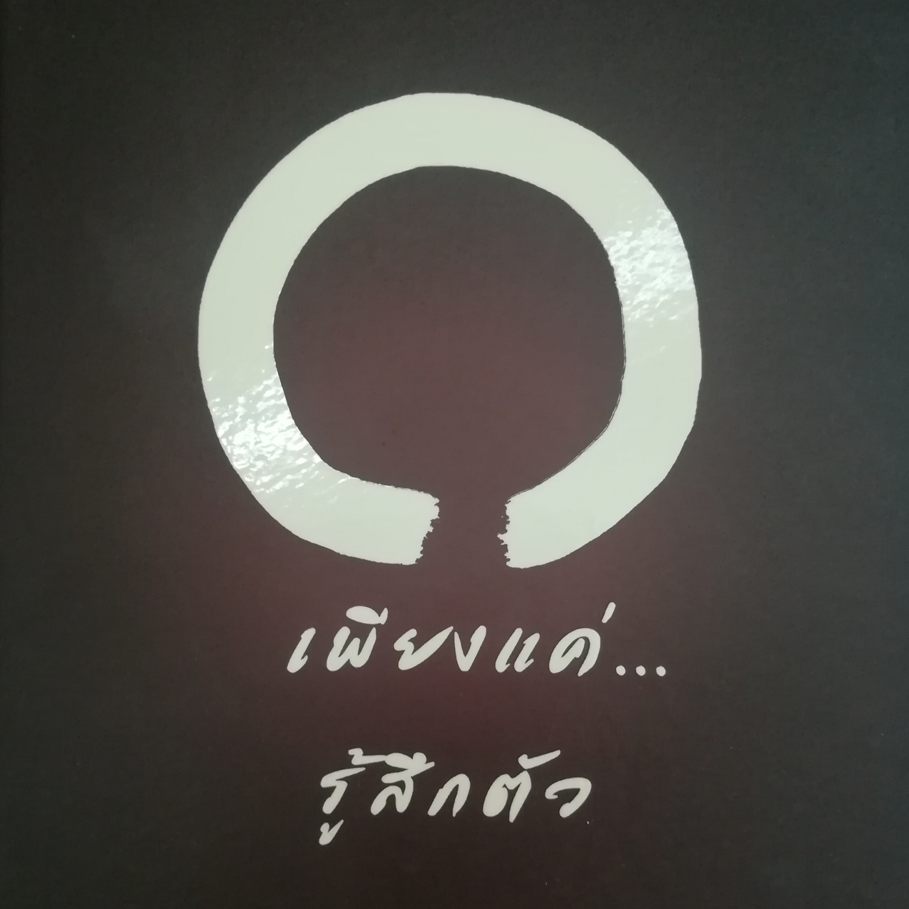 เพียงแค่...รู้สึกตัว หน้า 252 episode artwork