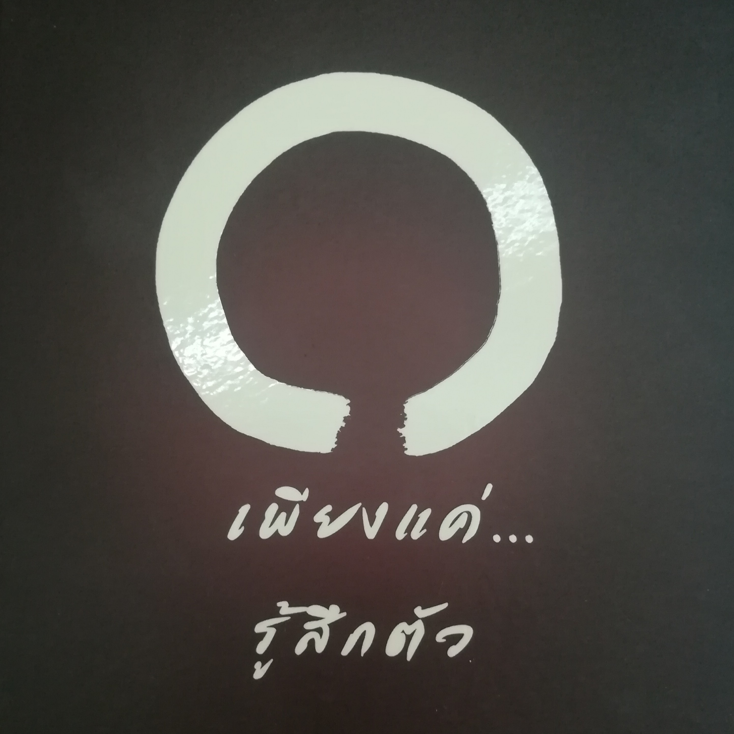 เพียงแค่...รู้สึกตัว หน้า 257 episode artwork