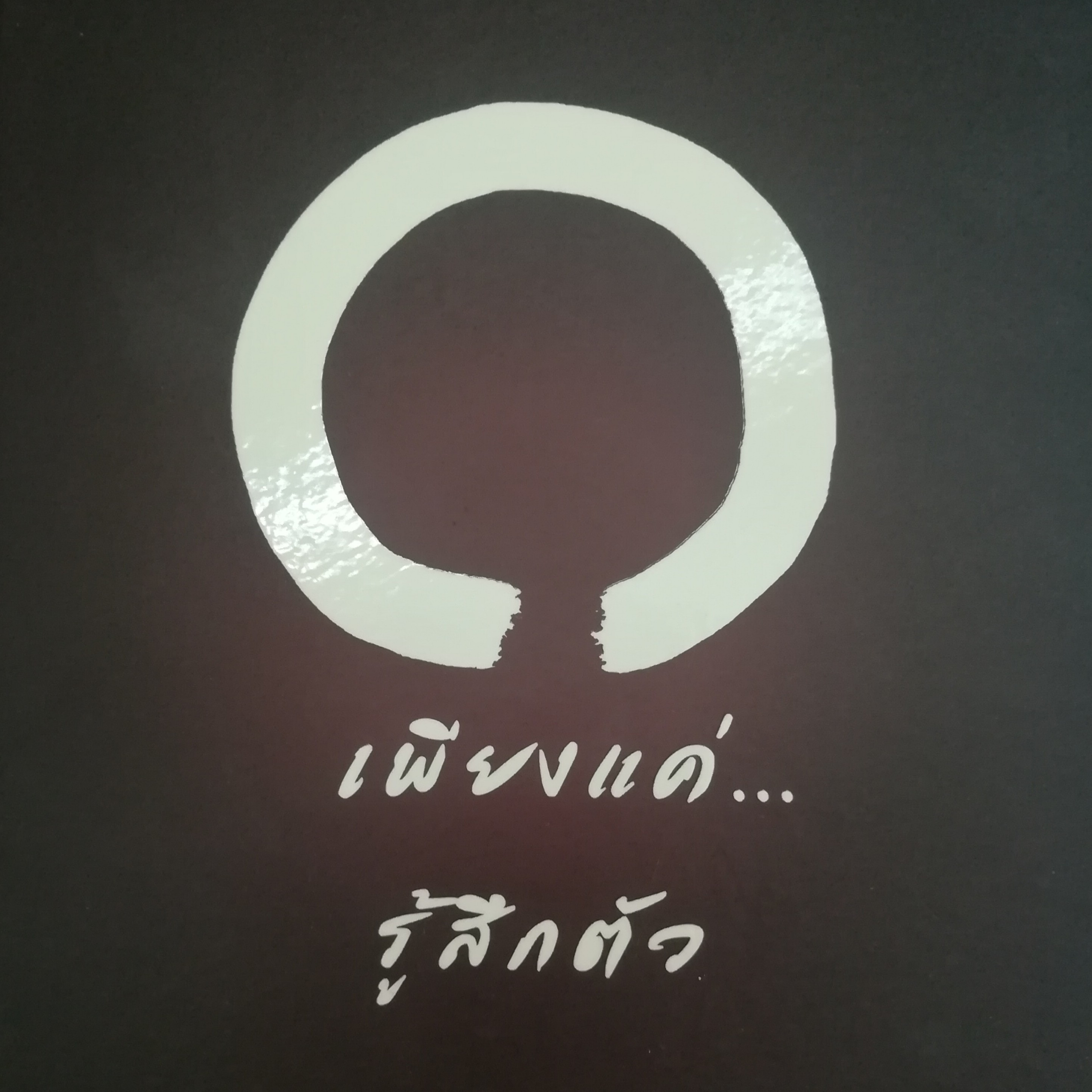 เพียงแค่...รู้สึกตัว หน้า 258 episode artwork