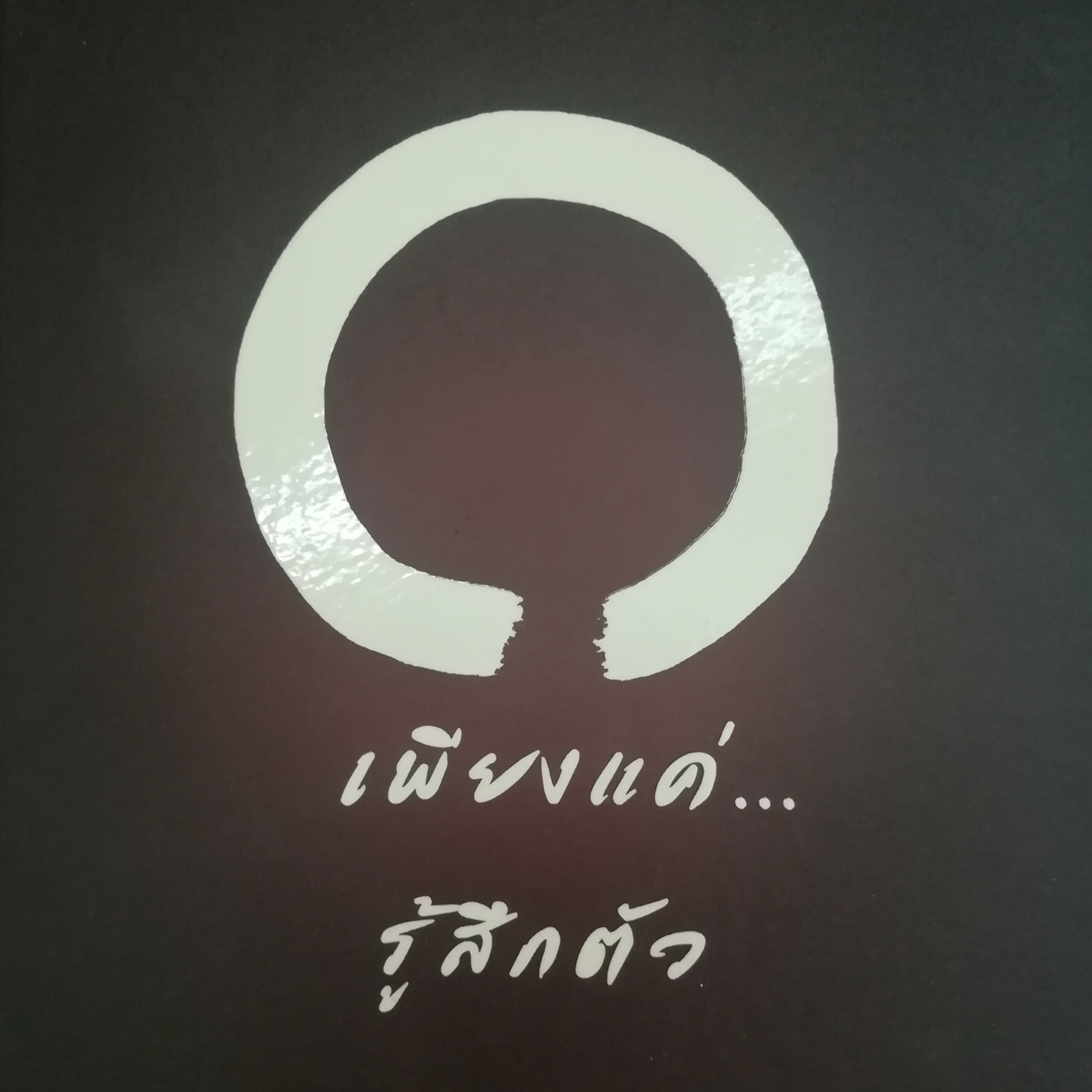 เพียงแค่...รู้สึกตัว หน้า 284 episode artwork
