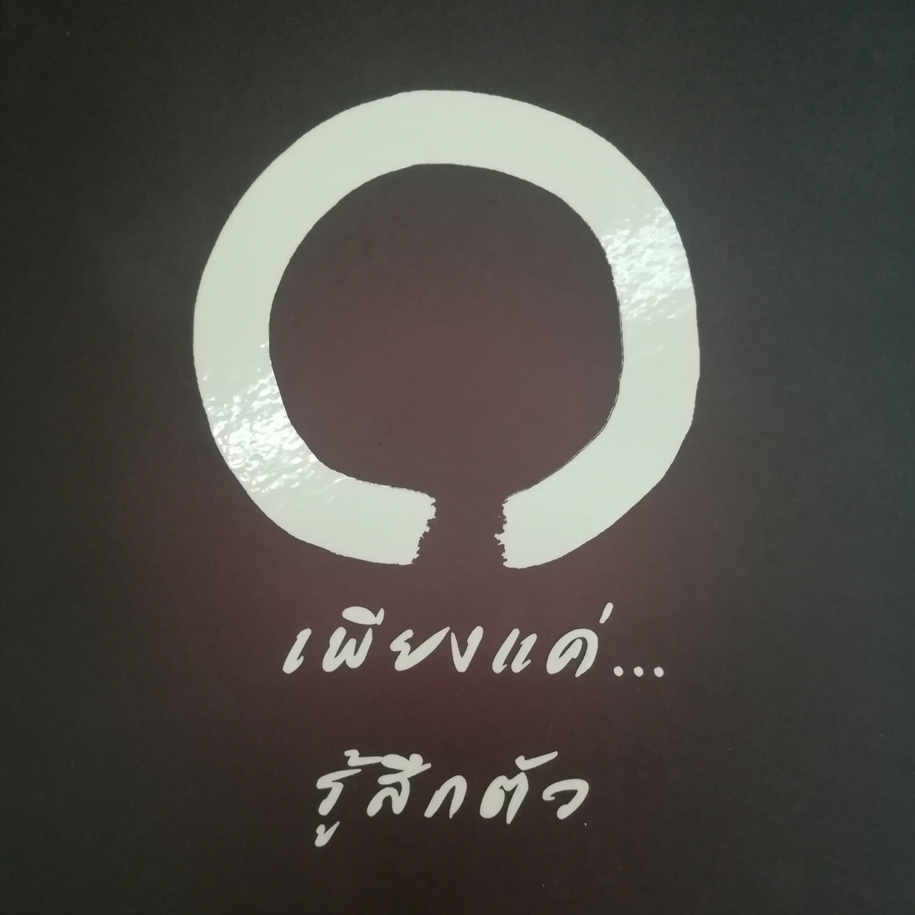 เพียงแค่...รู้สึกตัว หน้า 293 episode artwork