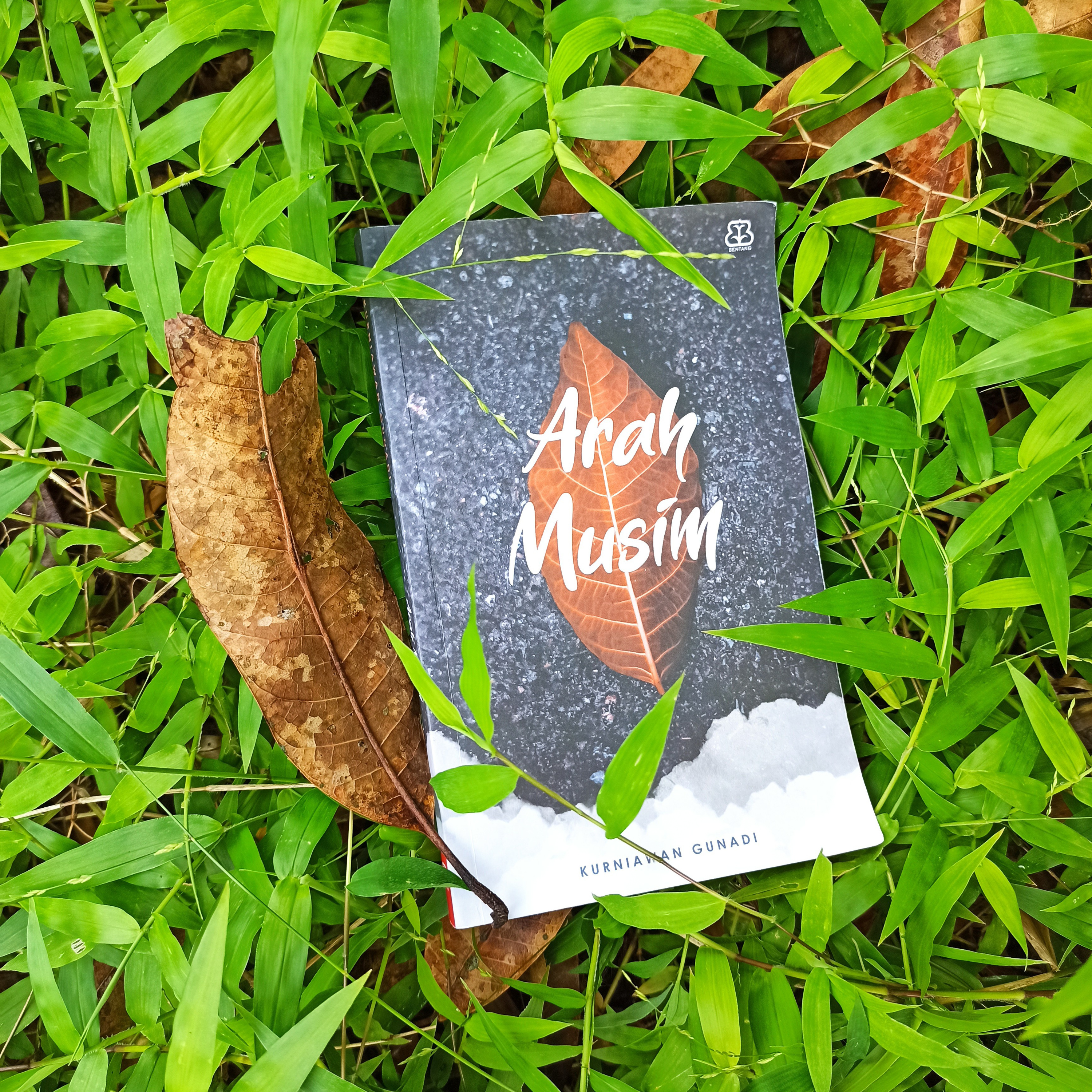 Dengerin Buku