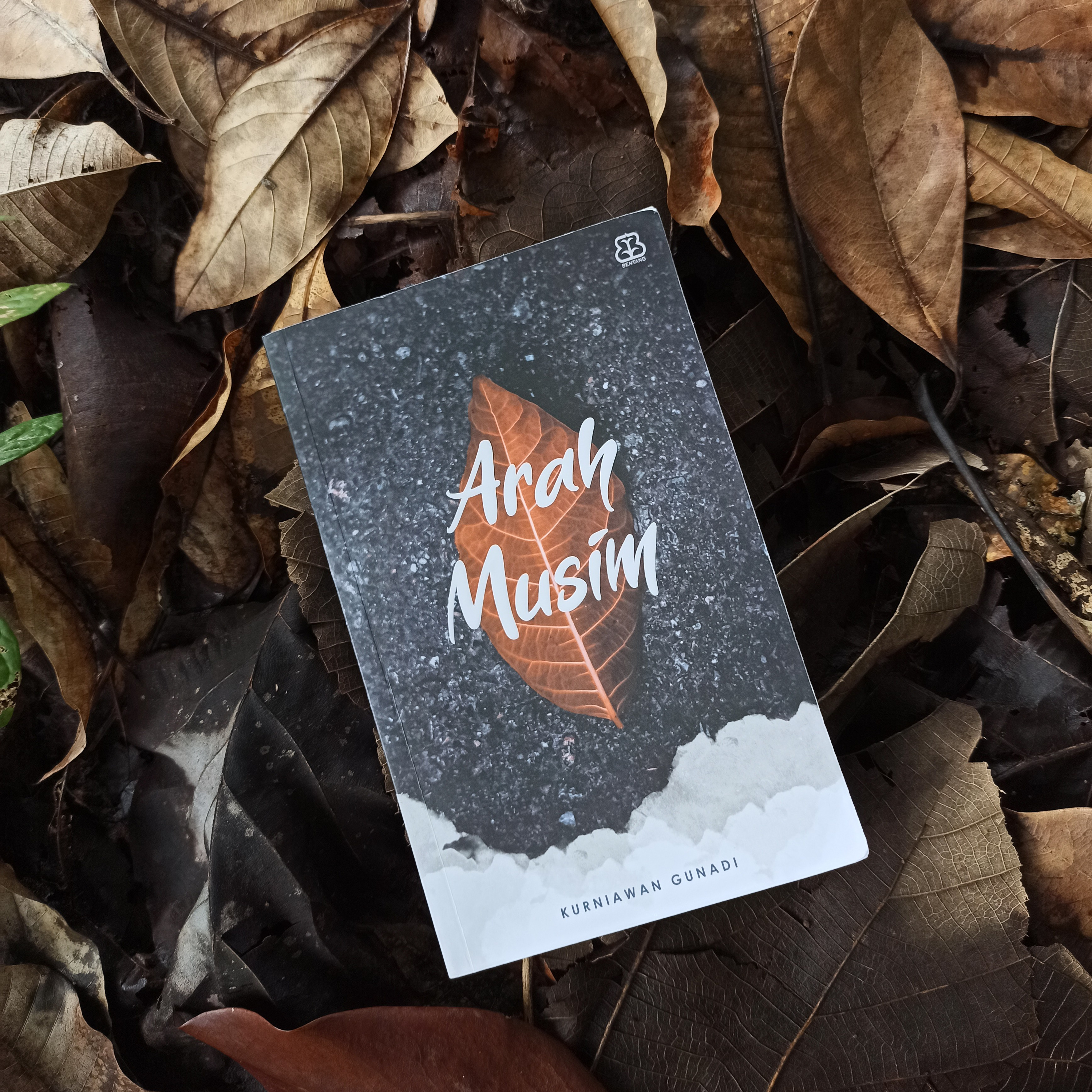 Dengerin Buku
