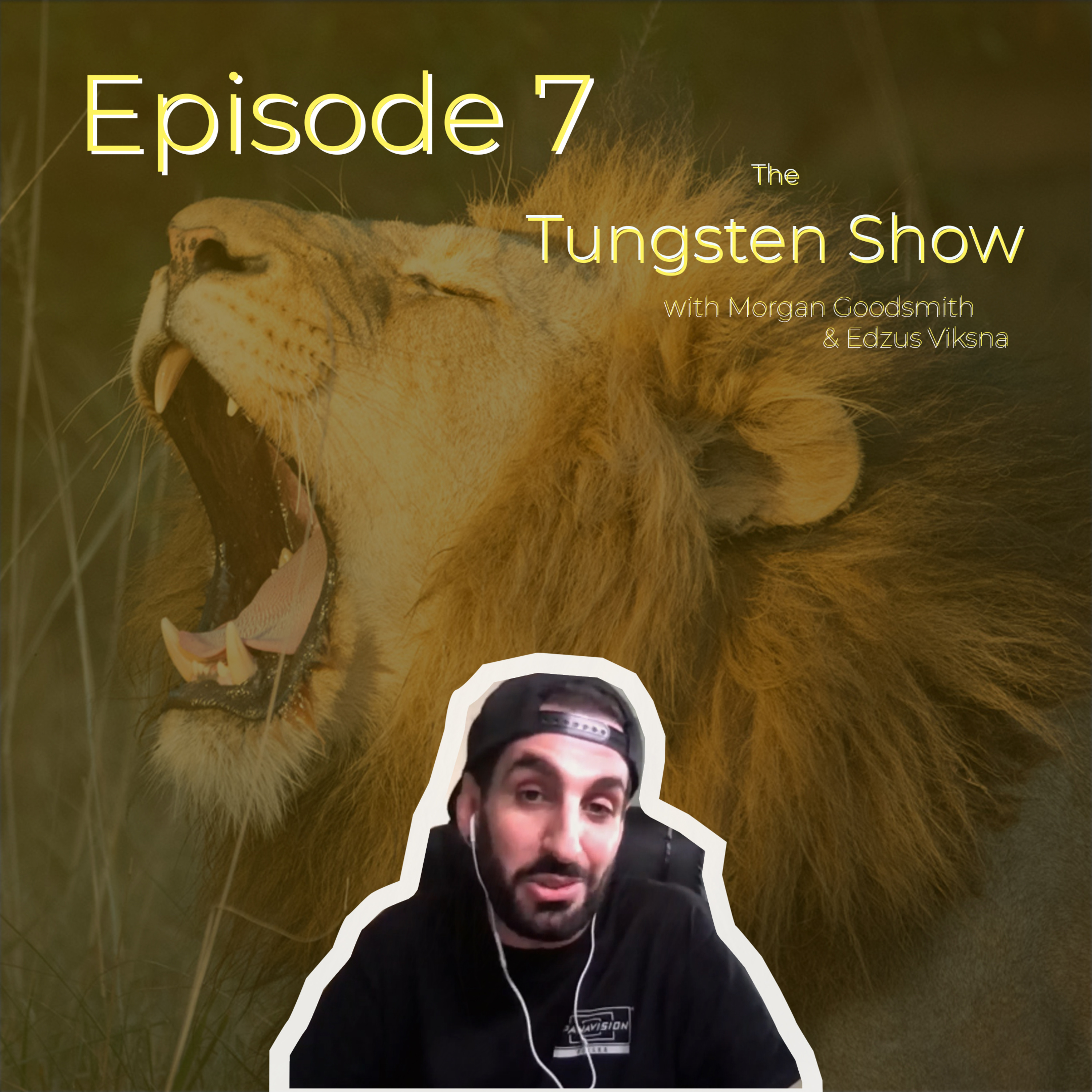 The Tungsten Show
