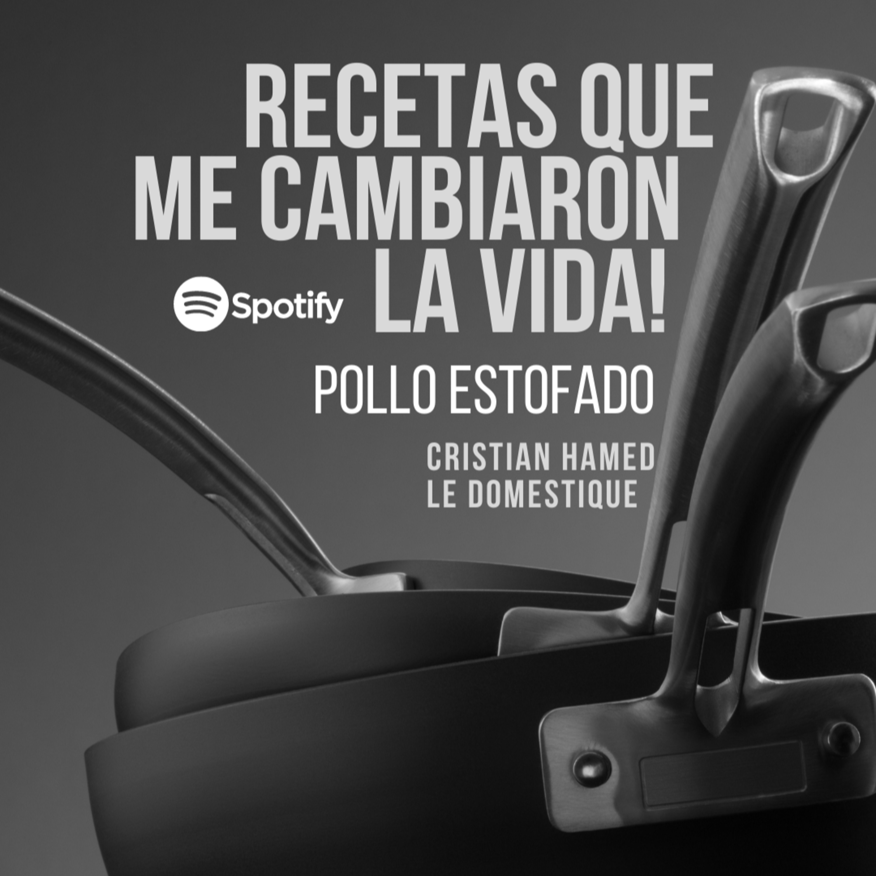 Cristian Hamed Le Domestique