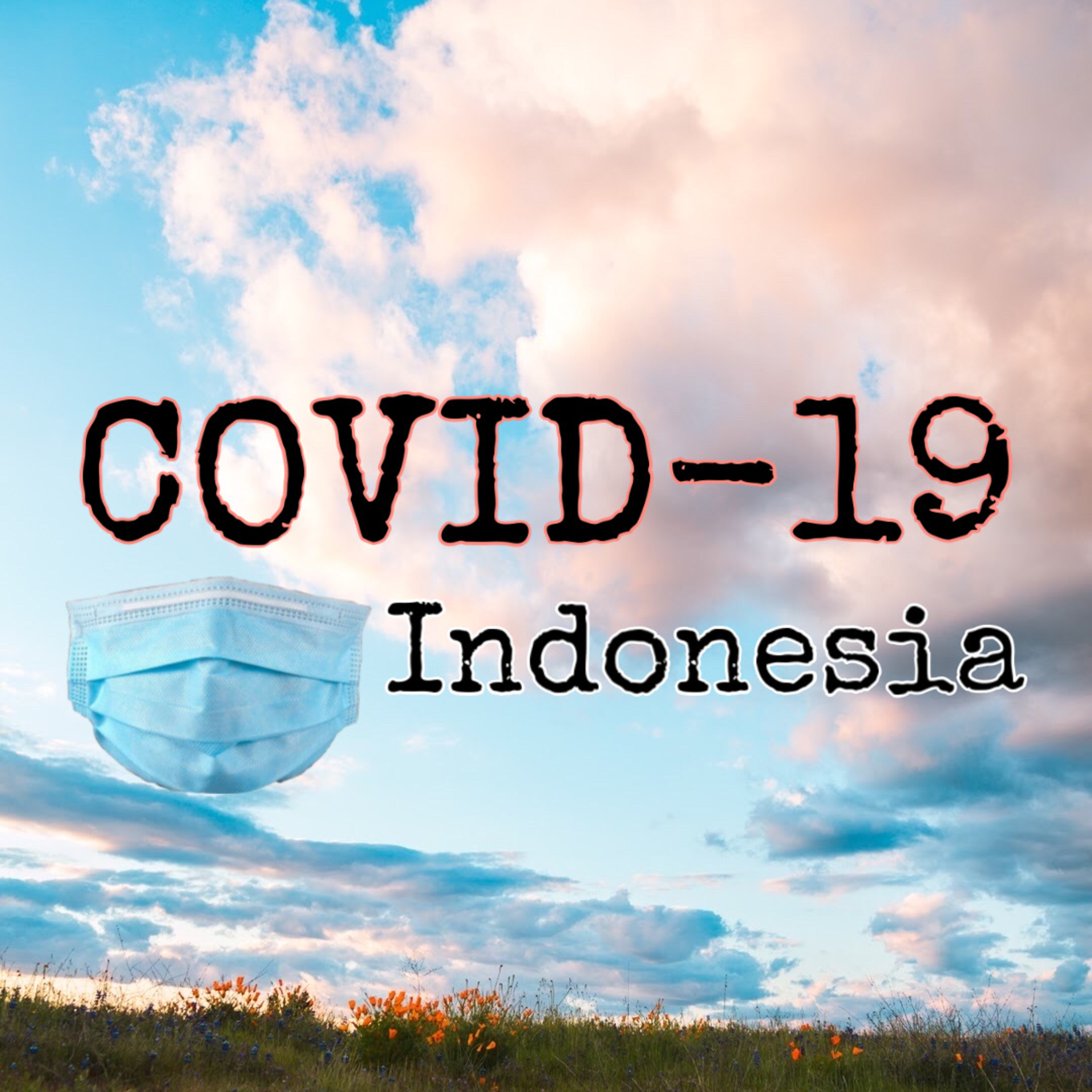 Covid 19 in Indonesia - Our View as a casual indonesian
