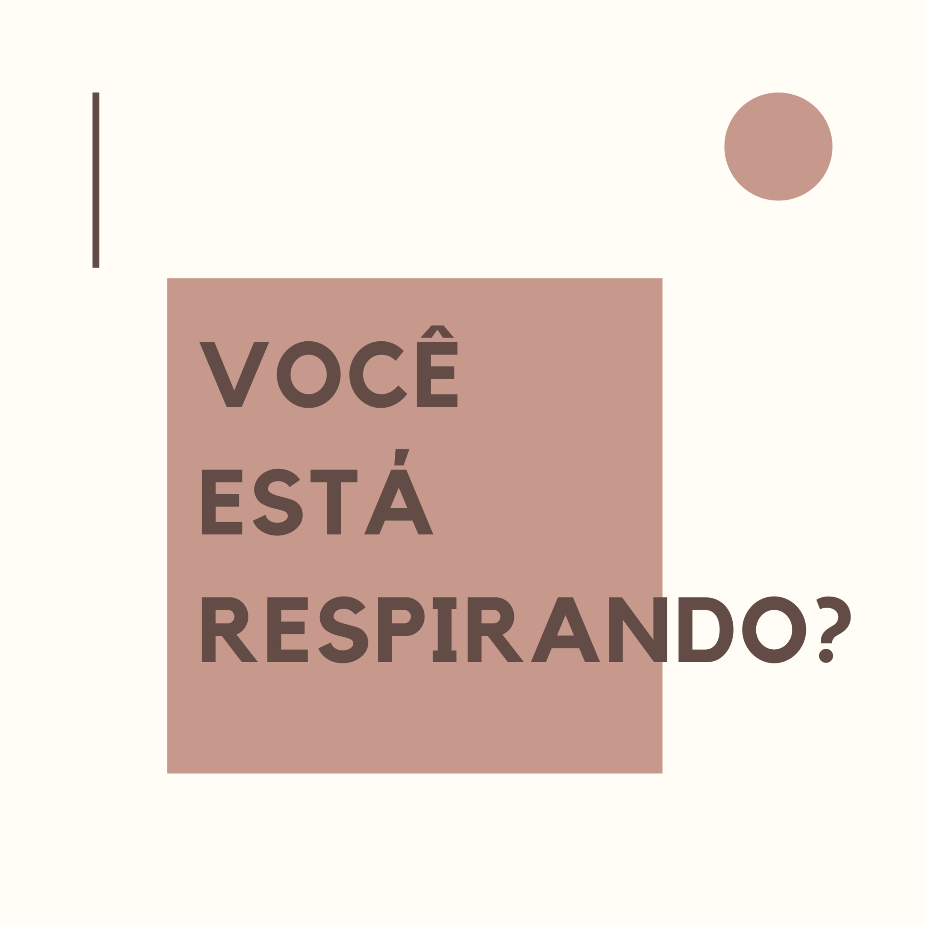 Bora Voar?