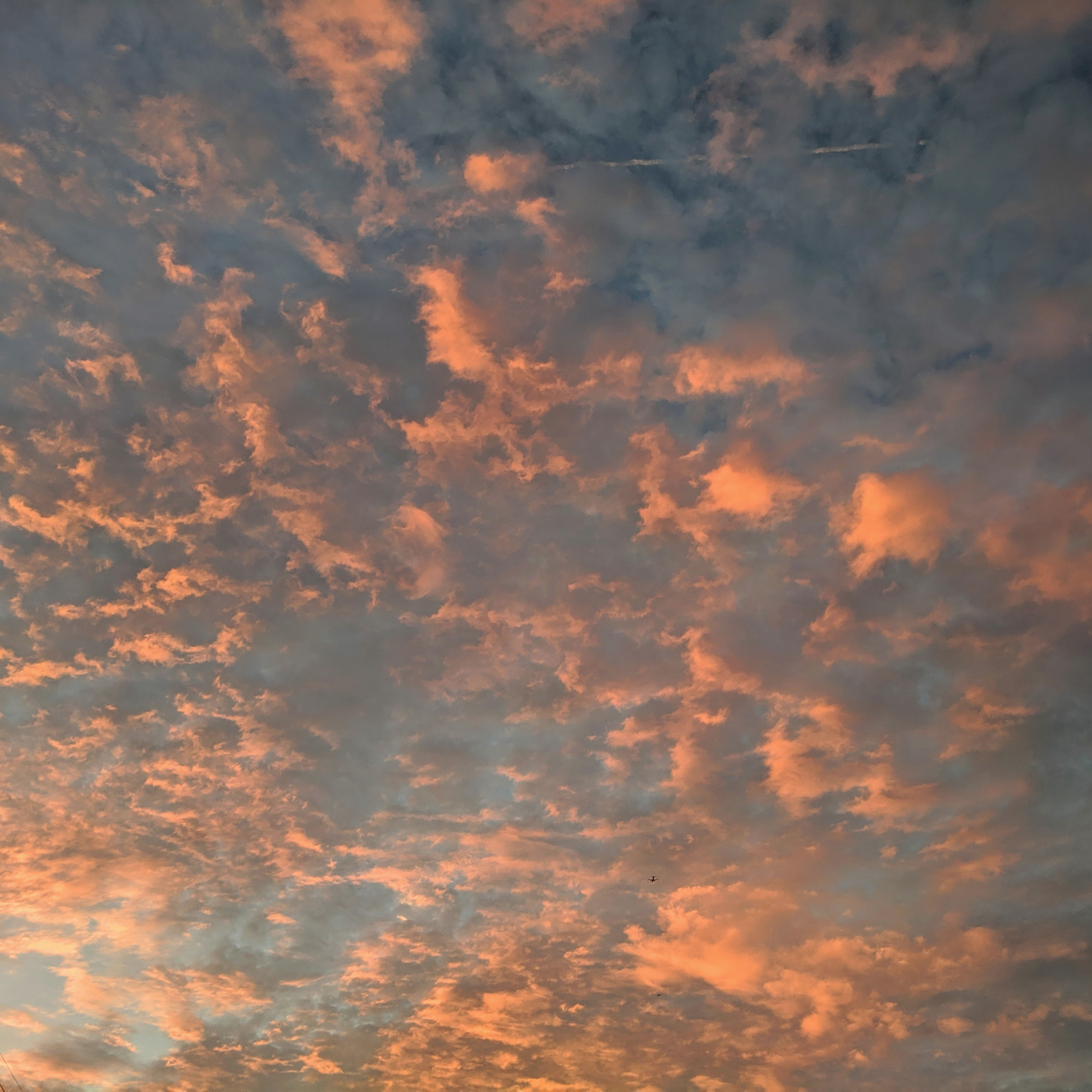 First Drafts With Liz