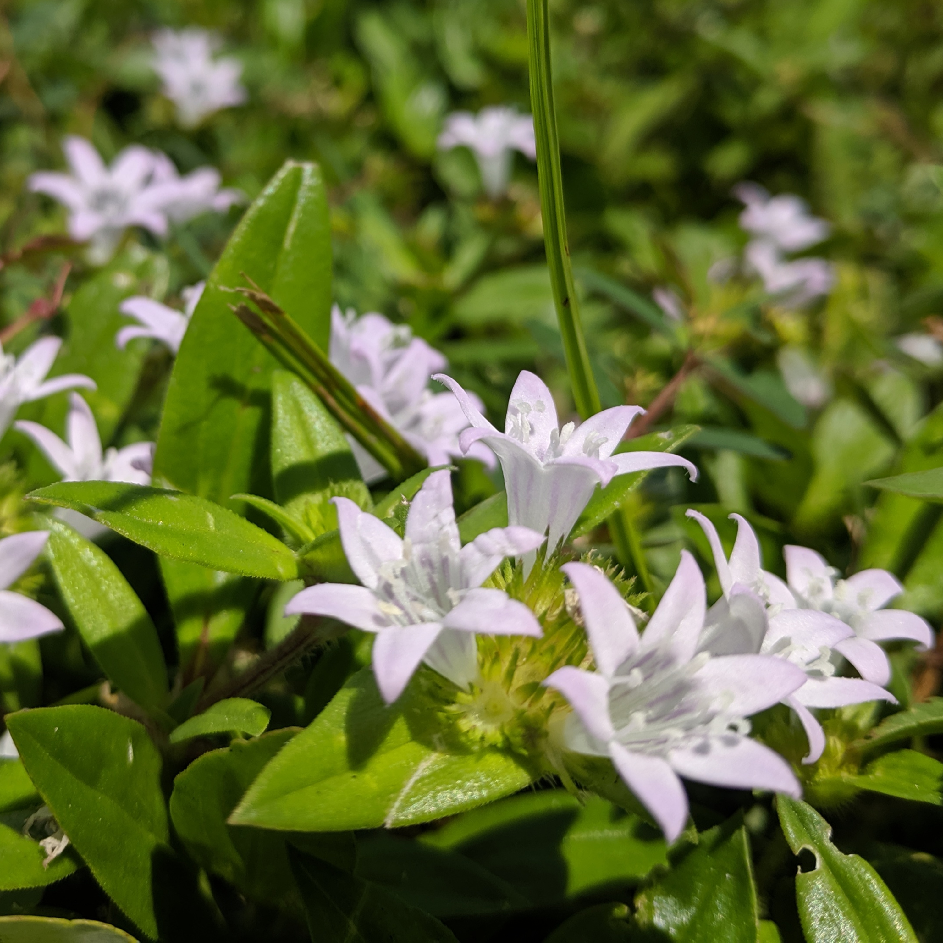 First Drafts With Liz