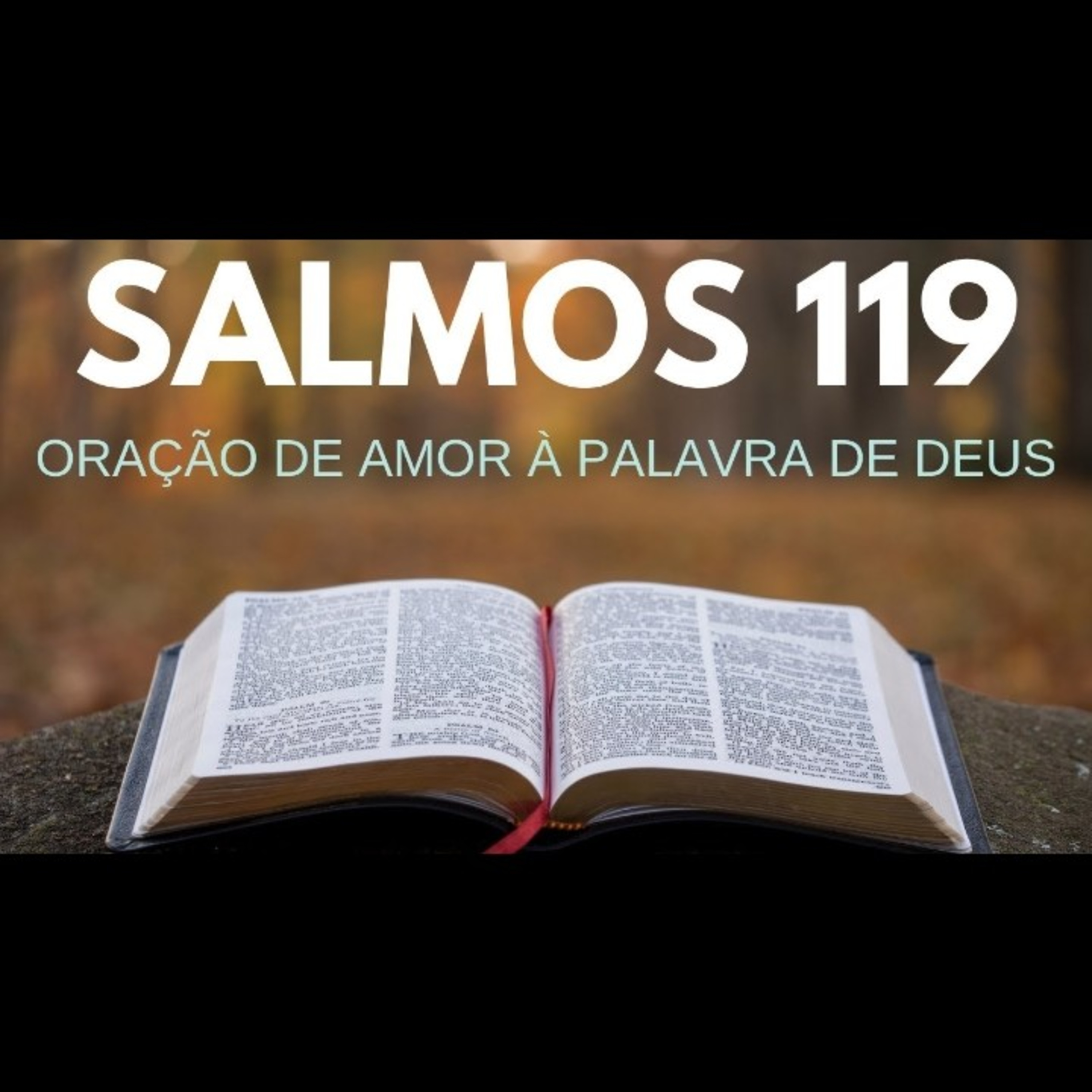 A Palavra de Deus