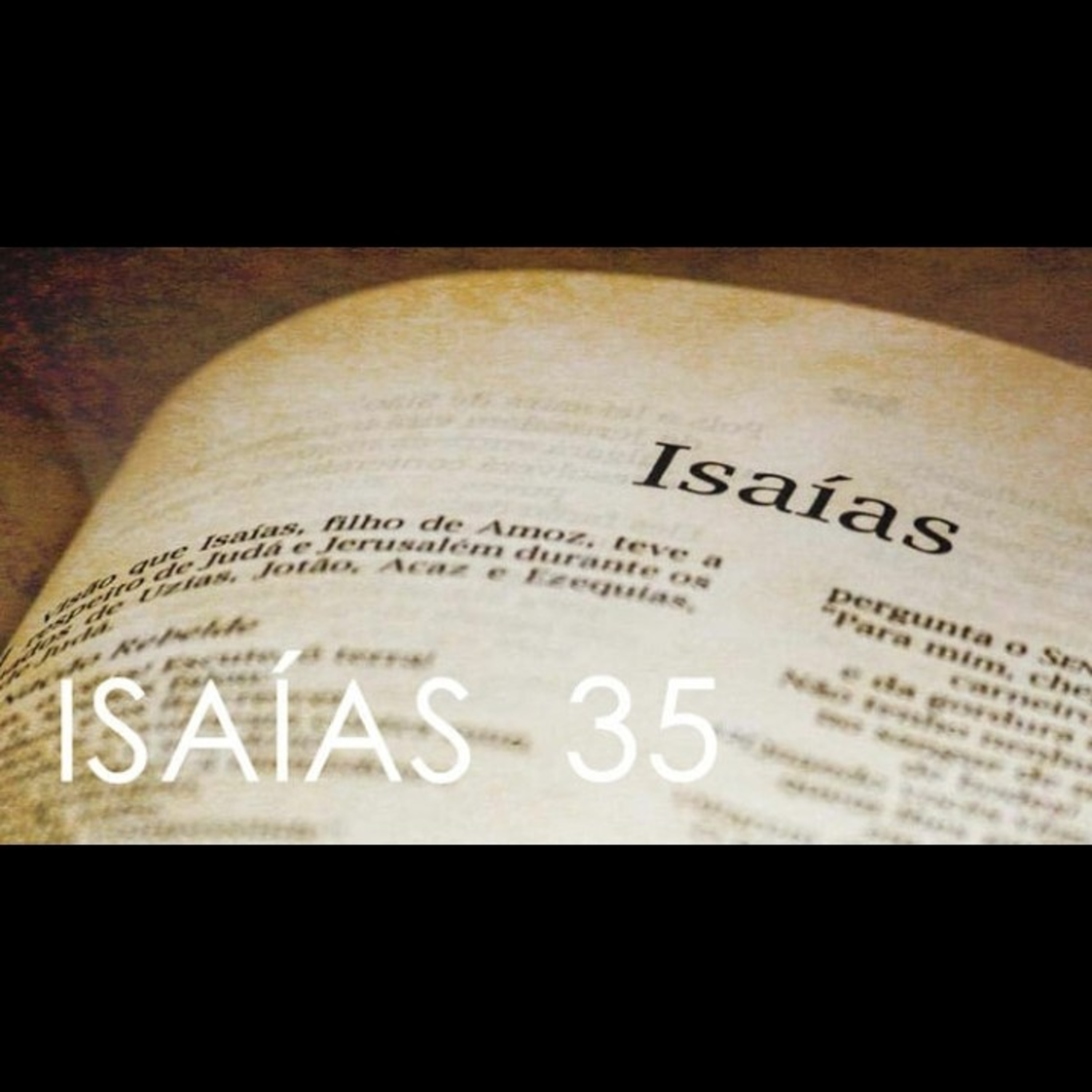 A Palavra de Deus