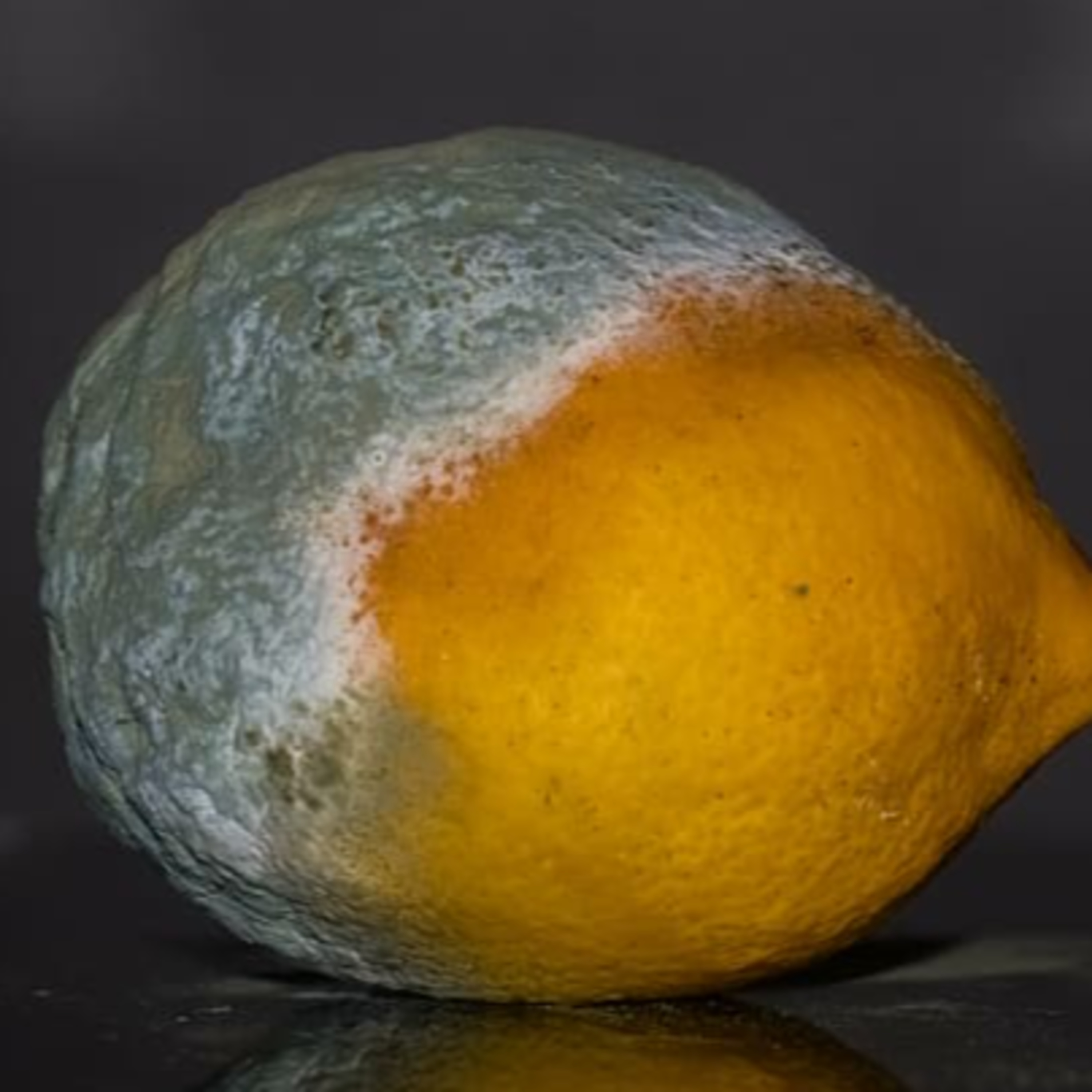 Atlantic Beach Assembly of God