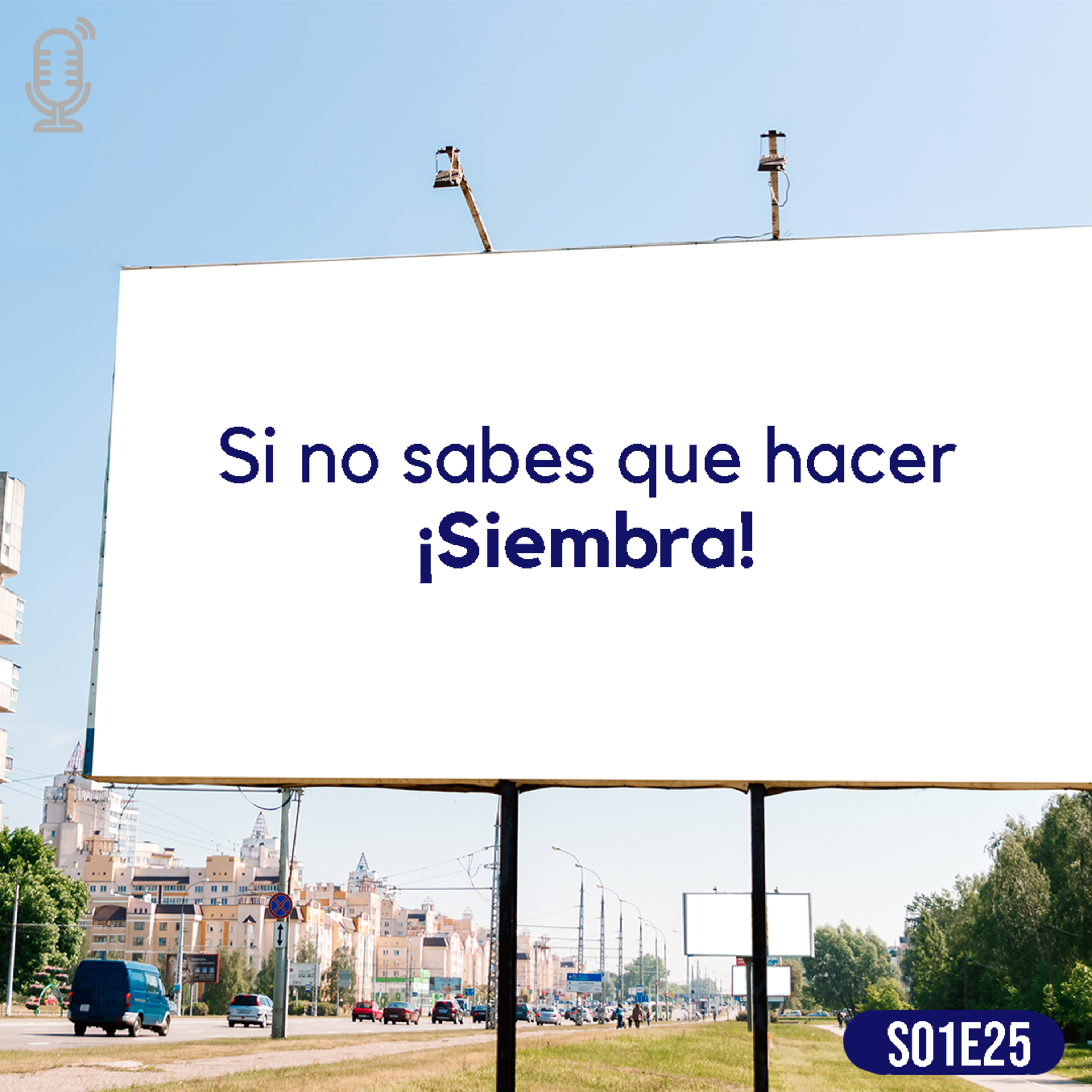Mejores360@ - Jorge Palm
