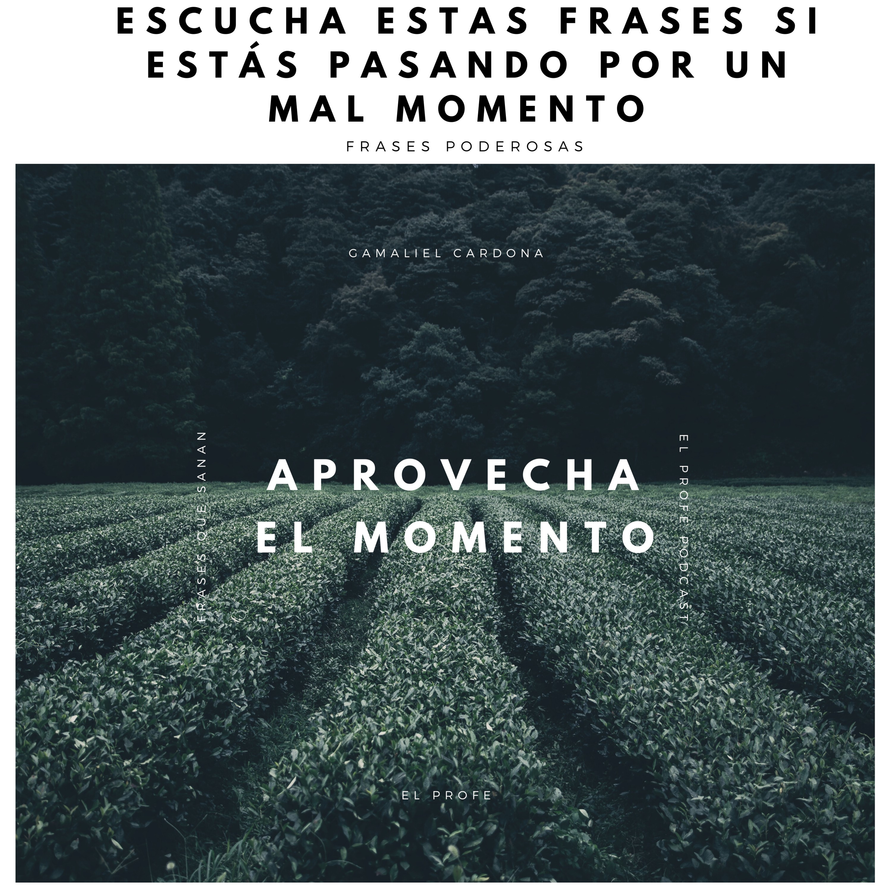 Aprovecha el momento  episode artwork