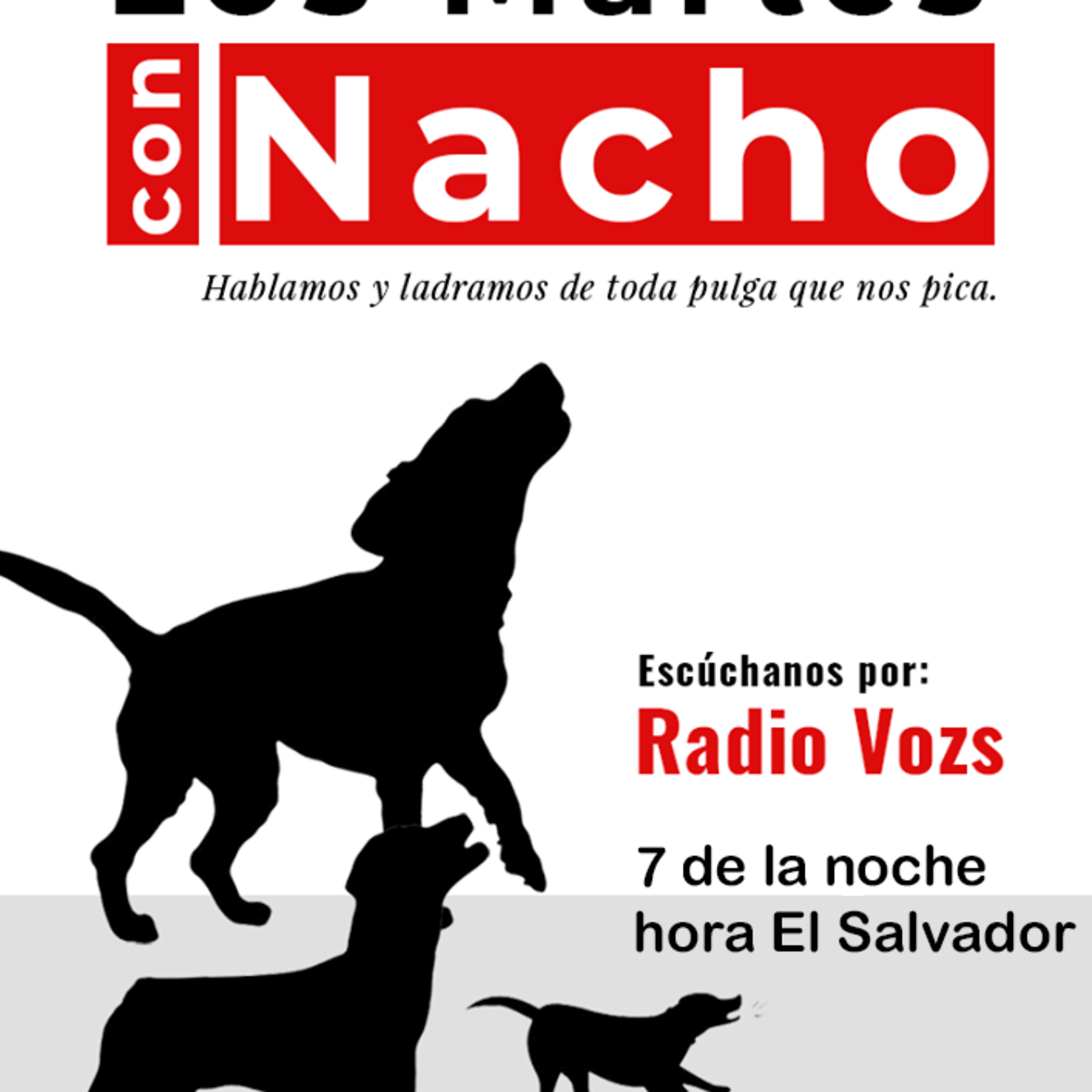 Los Martes con Nacho - Programa 25052021 episode artwork