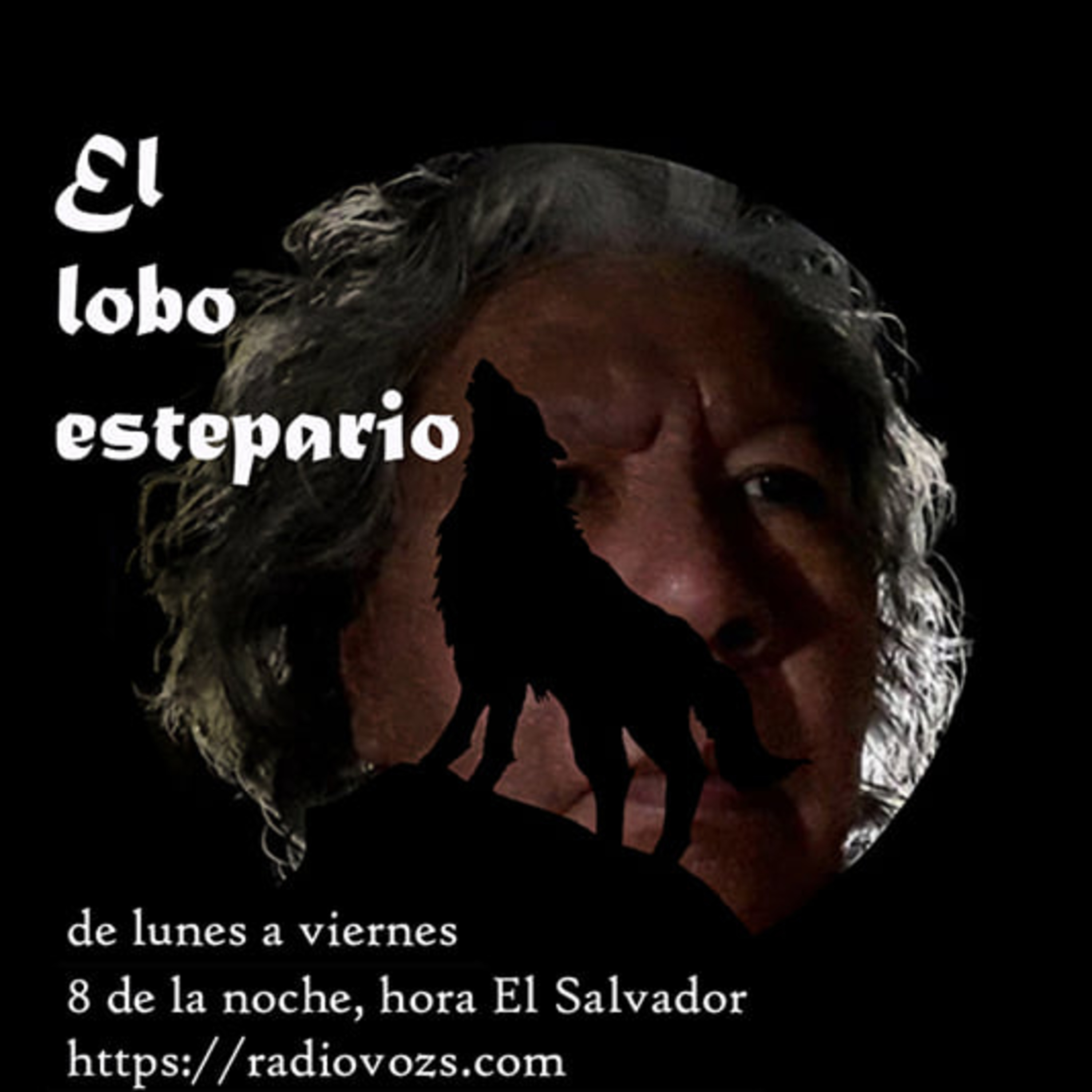 El Lobo Estepario - Programa 19 episode artwork