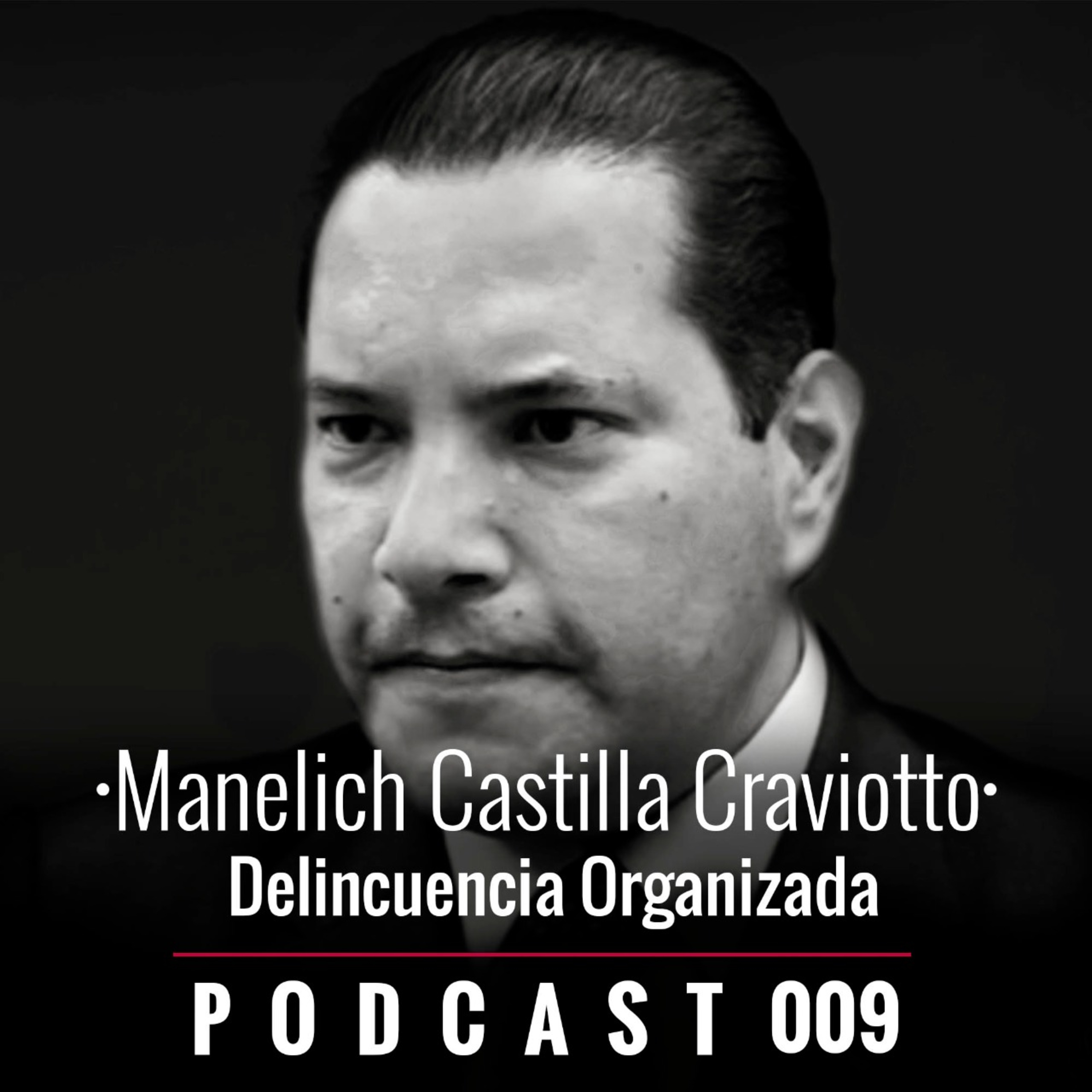 009. Delincuencia organizada
