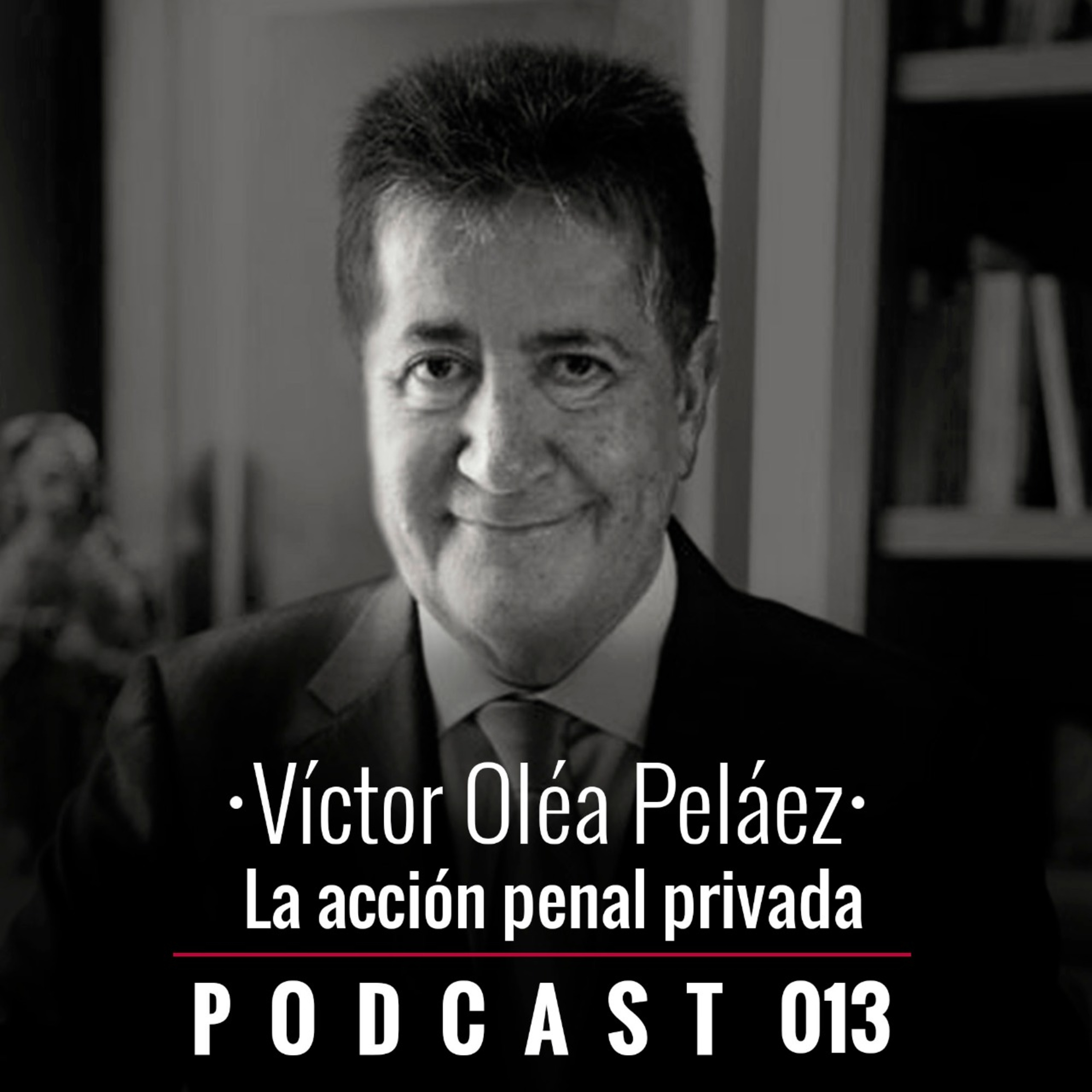 013. La acción penal privada 