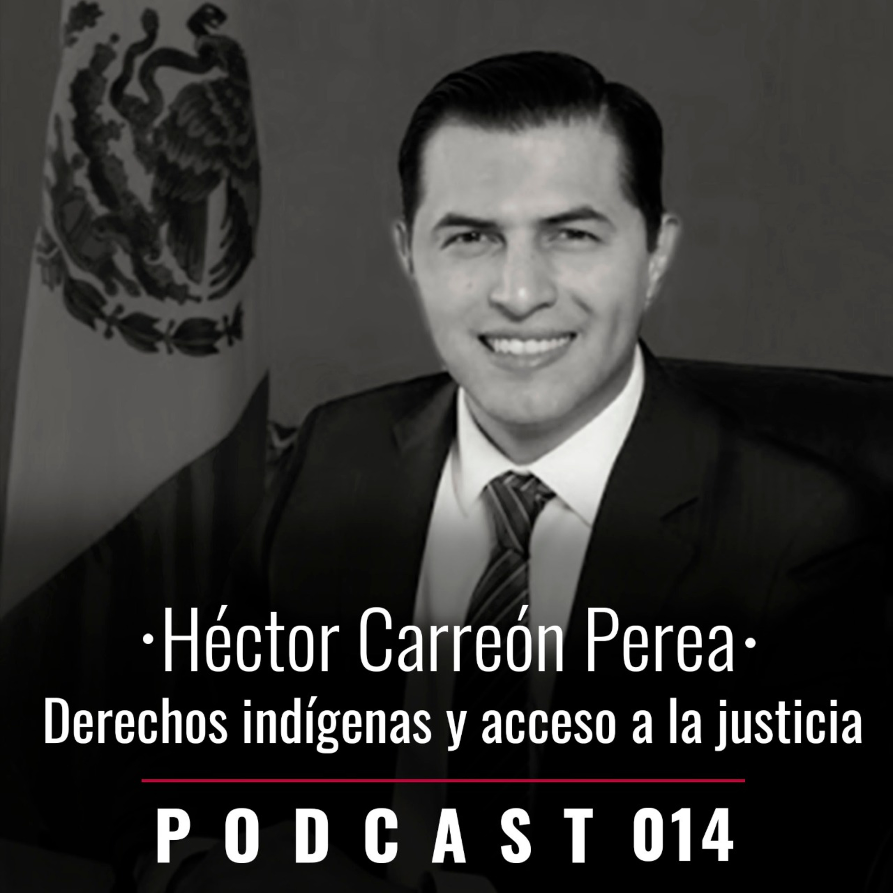 014. Derechos indígenas y acceso a la justicia