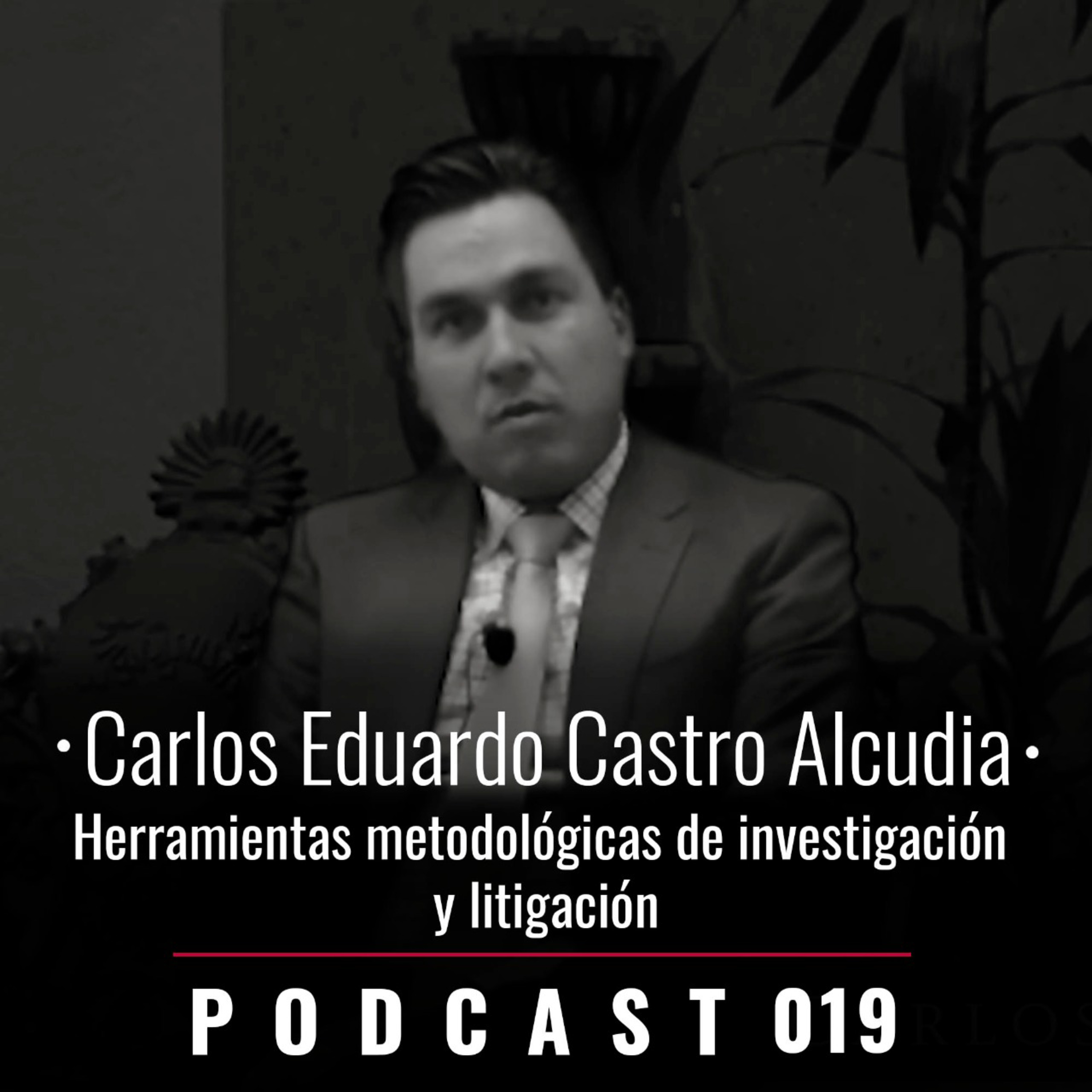 019. Herramientas metodológicas de investigación y litigación