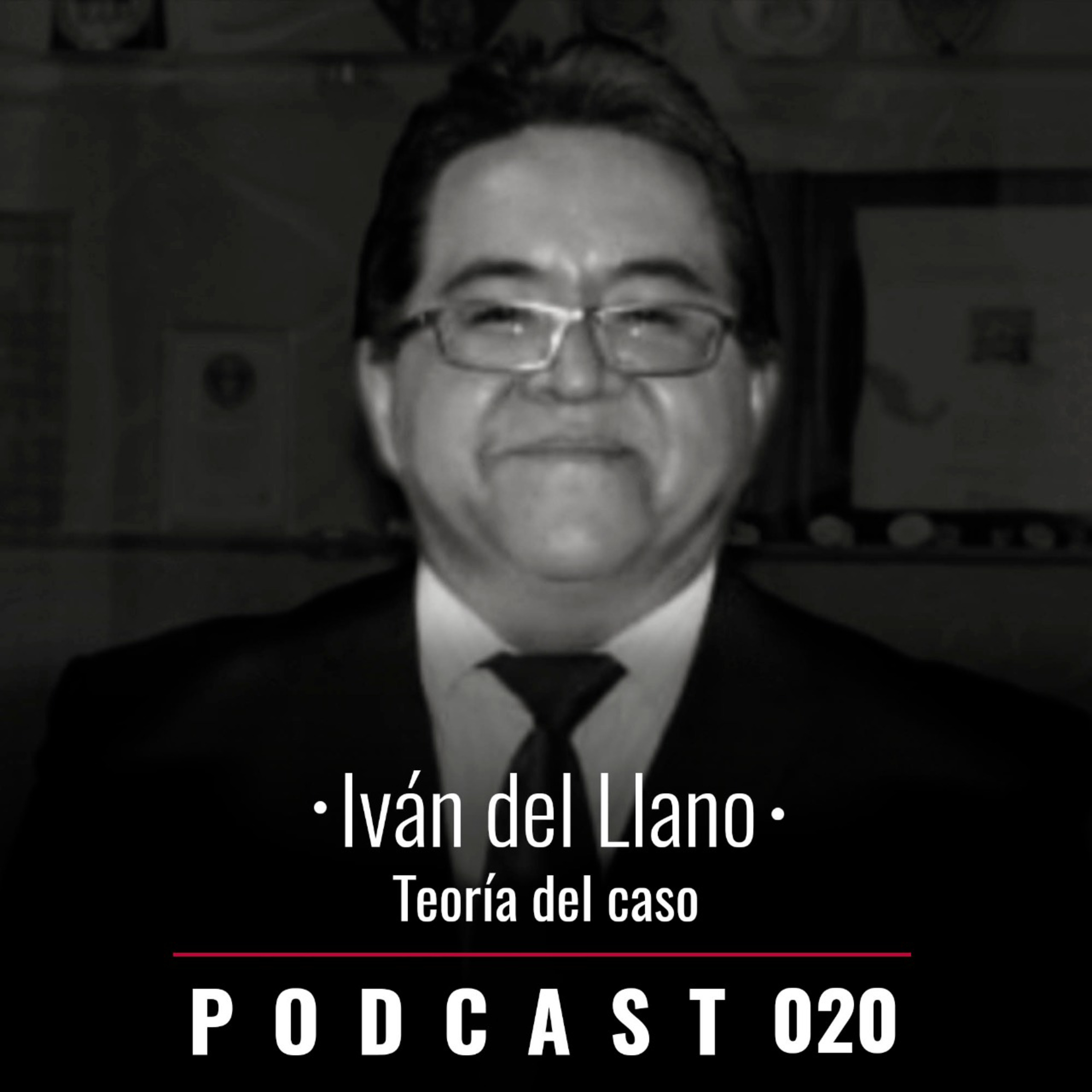 020. Teoría del caso
