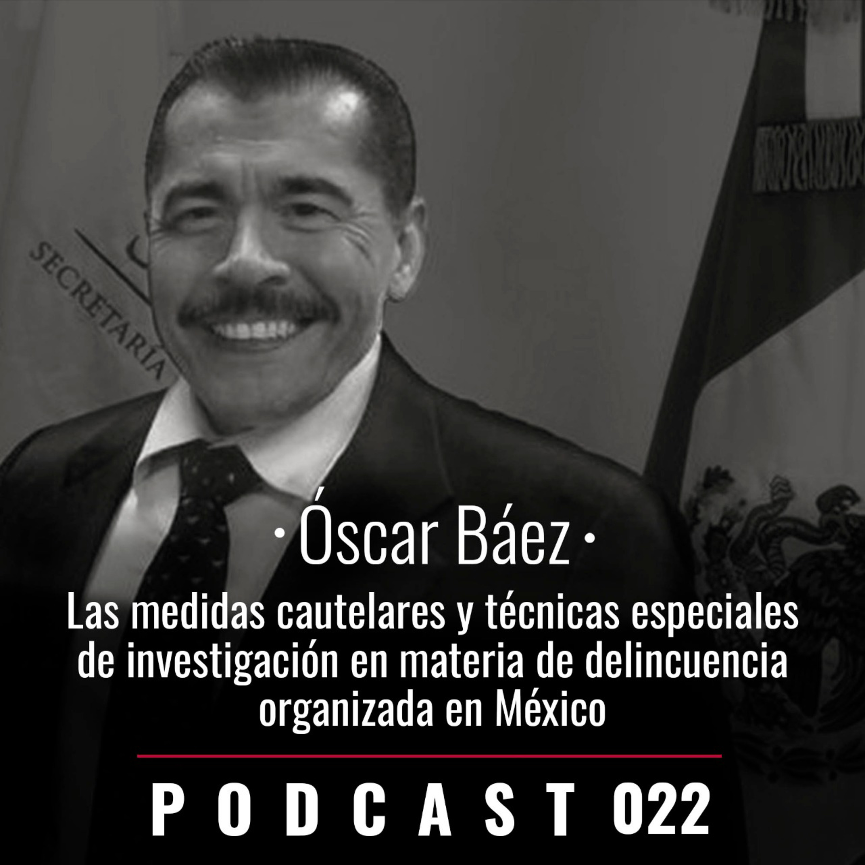 022. Las medidas cautelares y técnicas especiales de investigación en materia de delincuencia organizada en México