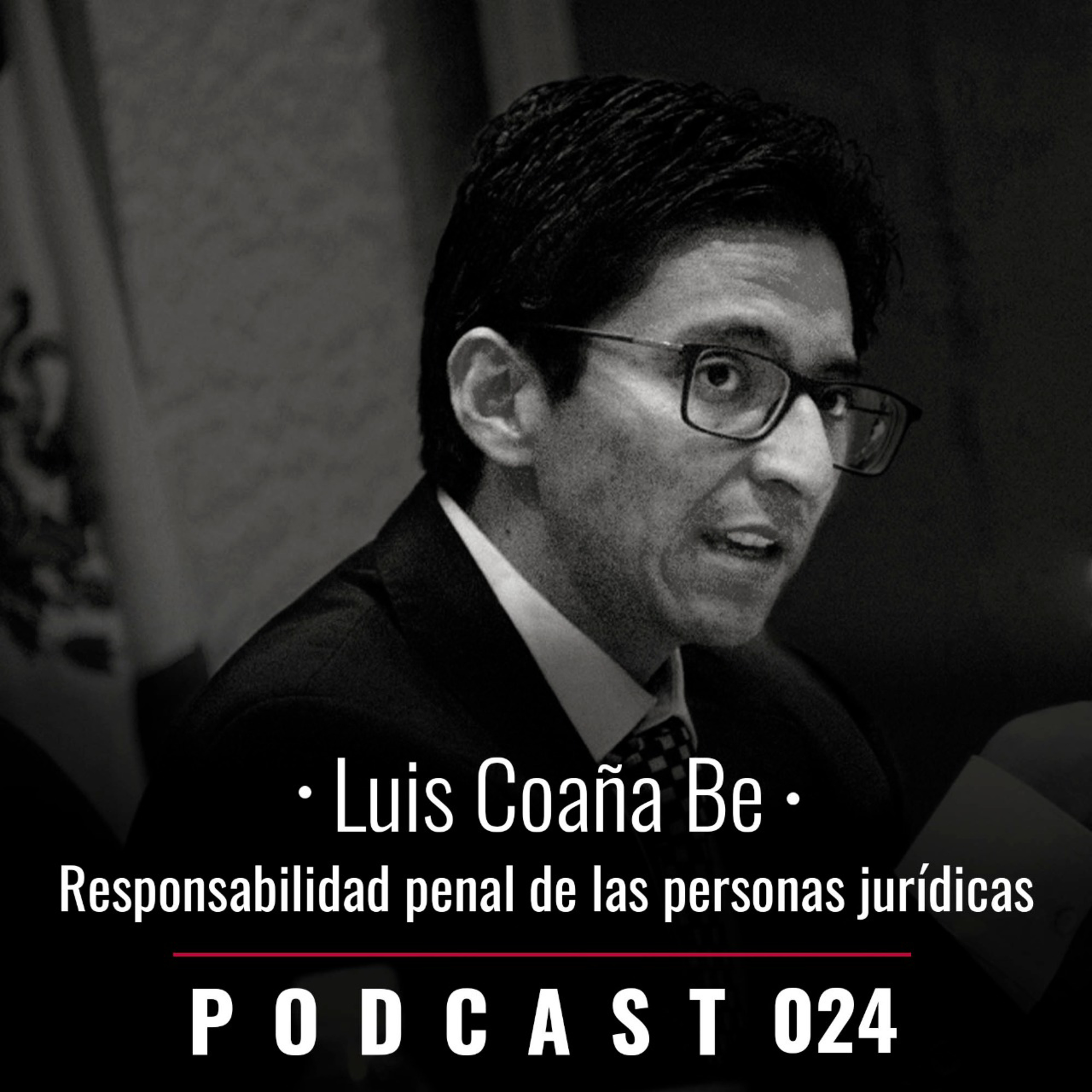024. Responsabilidad penal de las personas jurídicas
