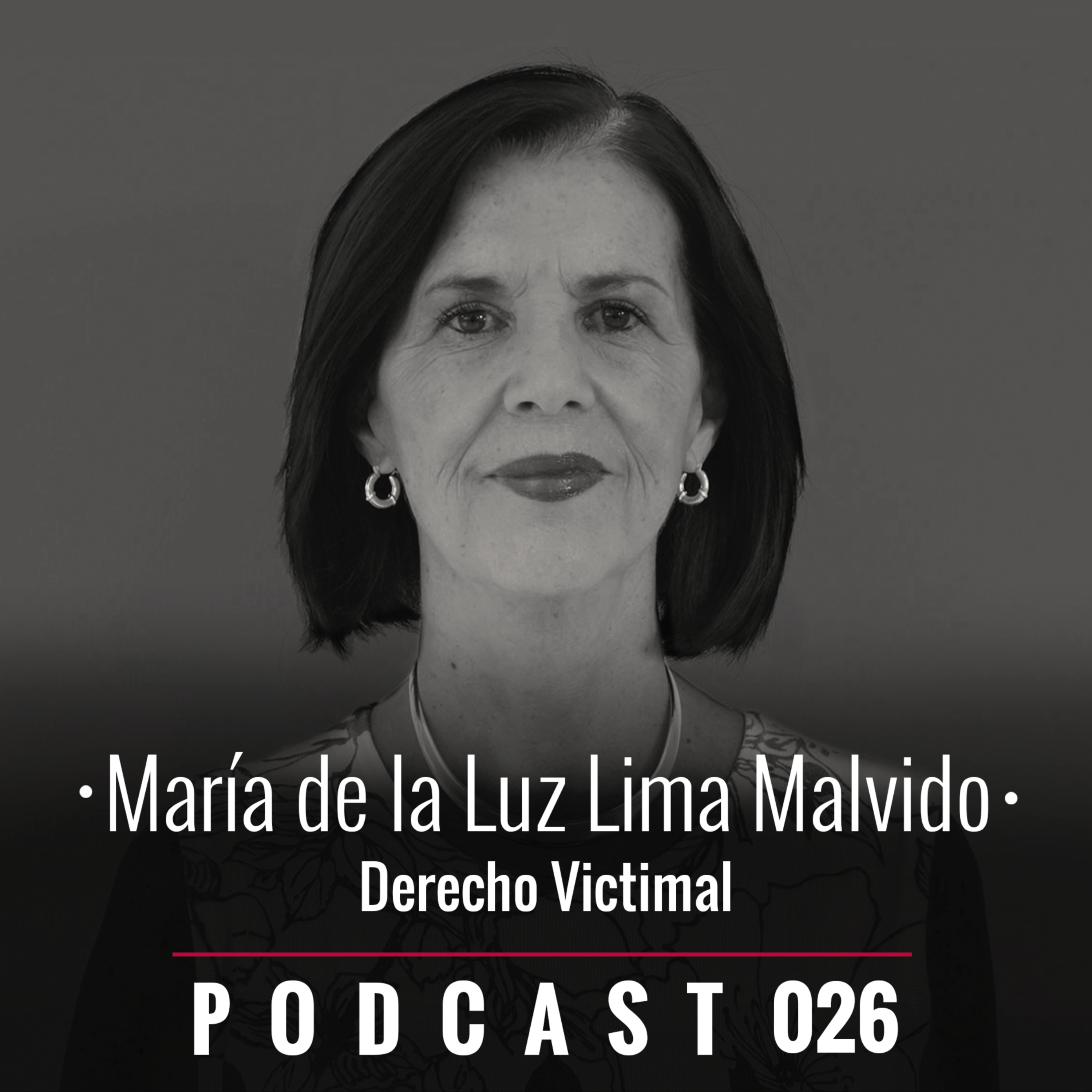 026. Derecho victimal