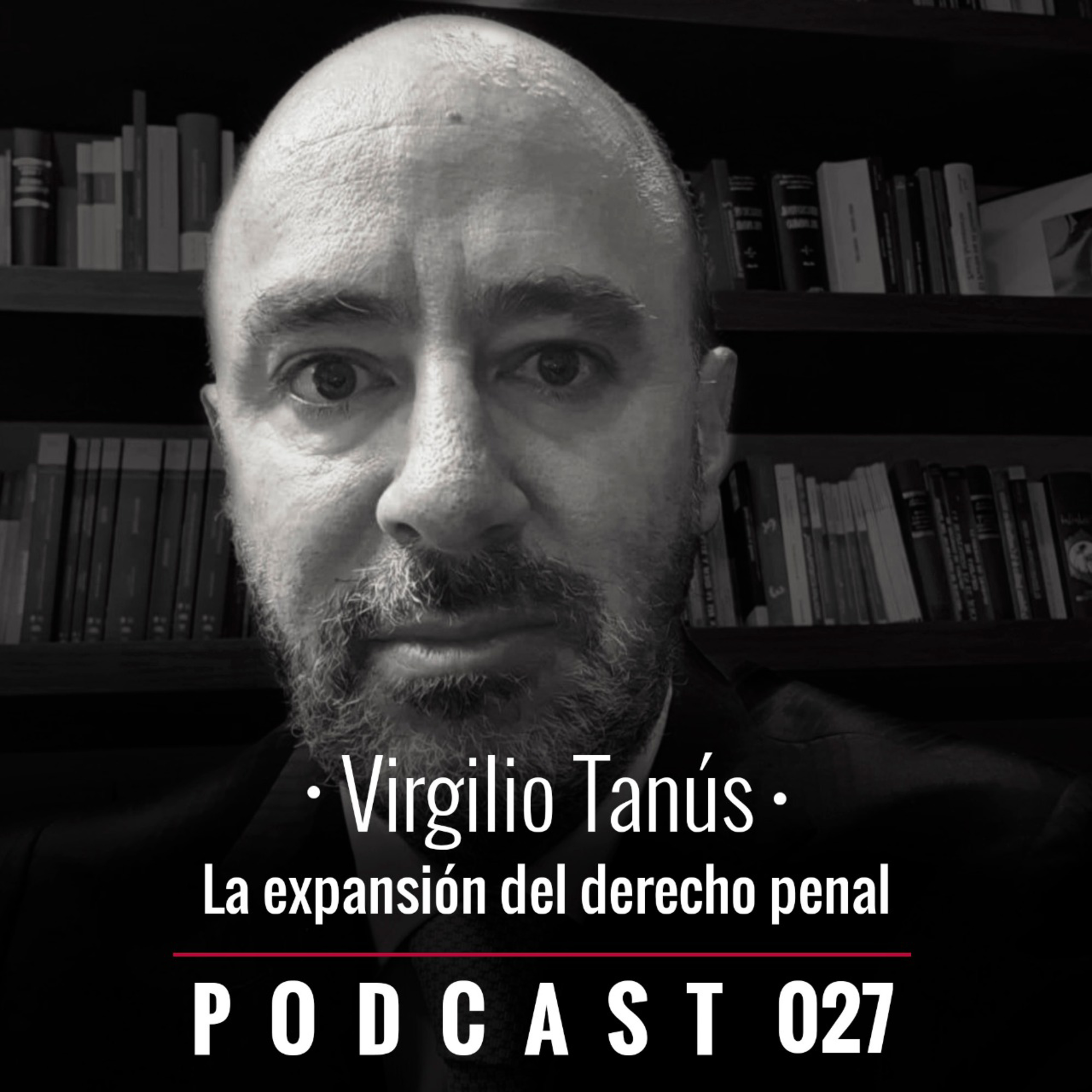 027. La expansión del derecho penal