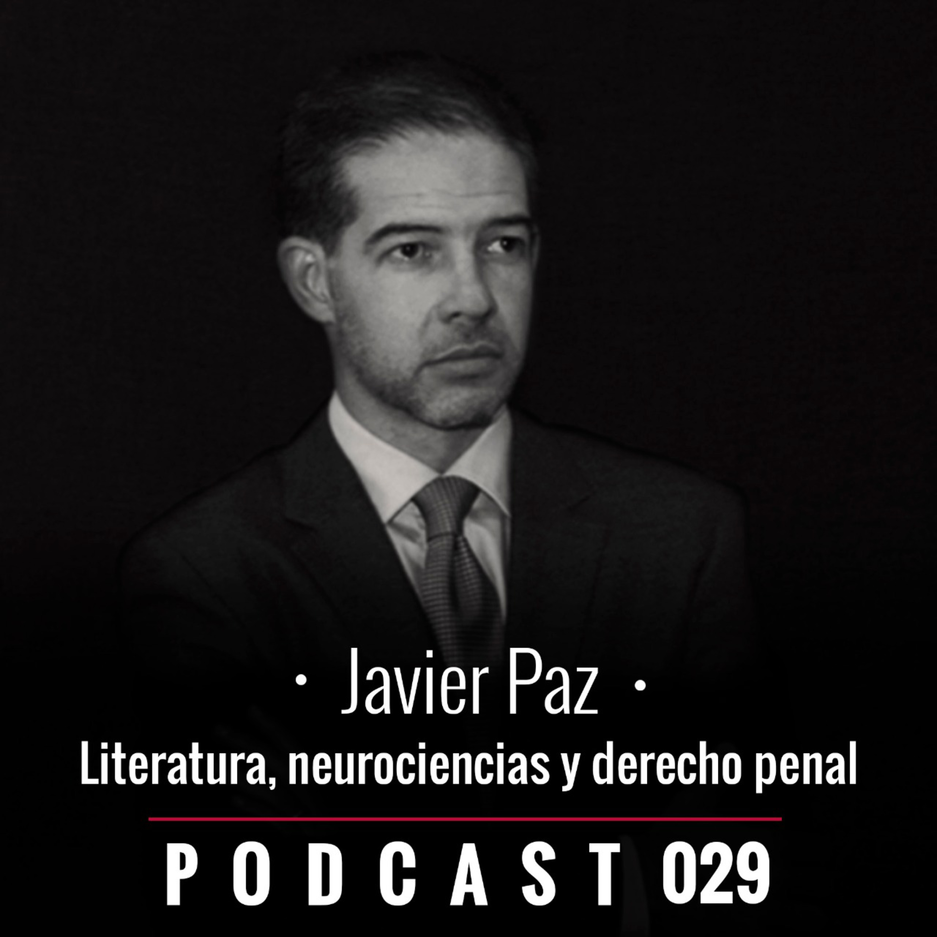 029. Literatura, neurociencia y derecho penal