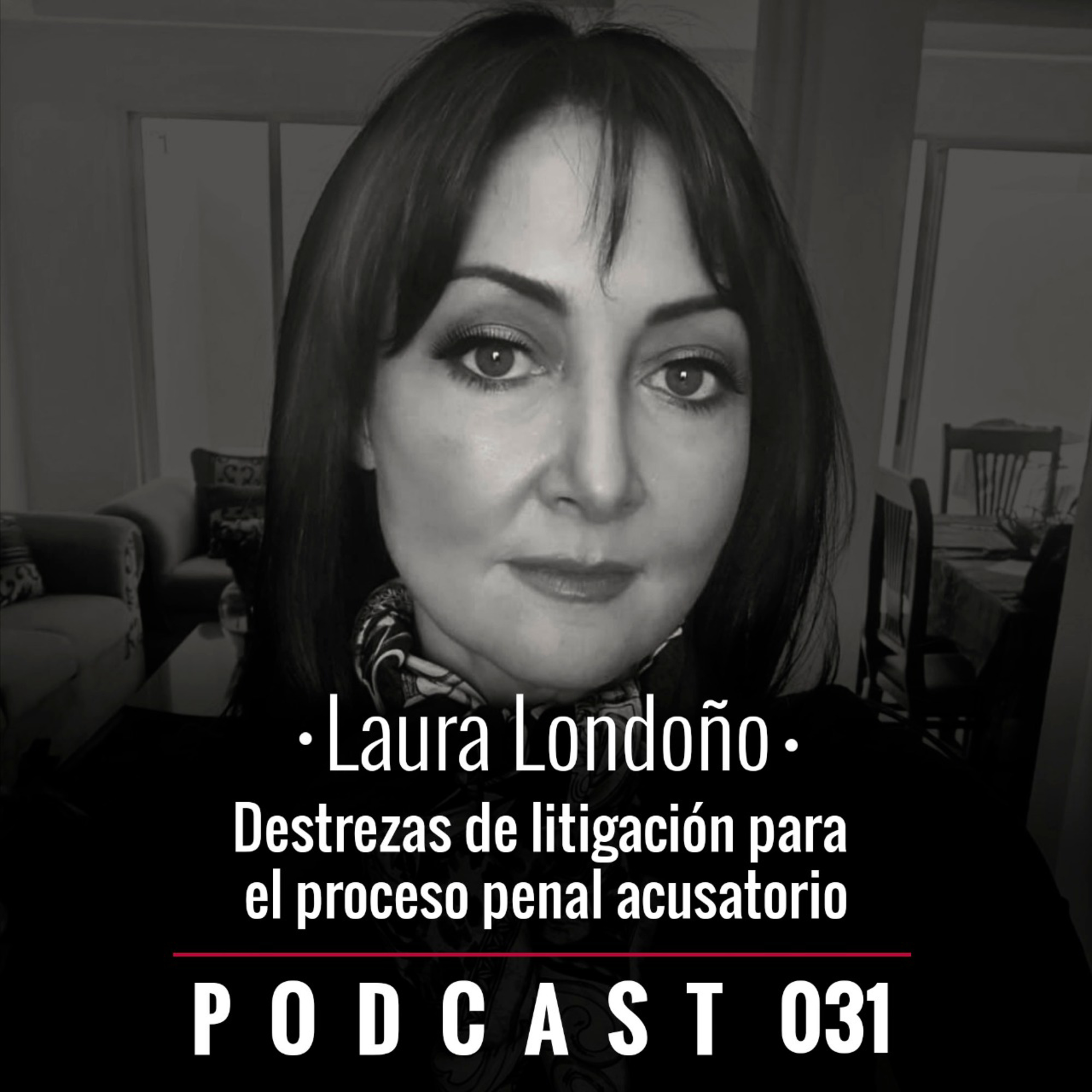 031. Destrezas de litigación para el proceso penal acusatorio
