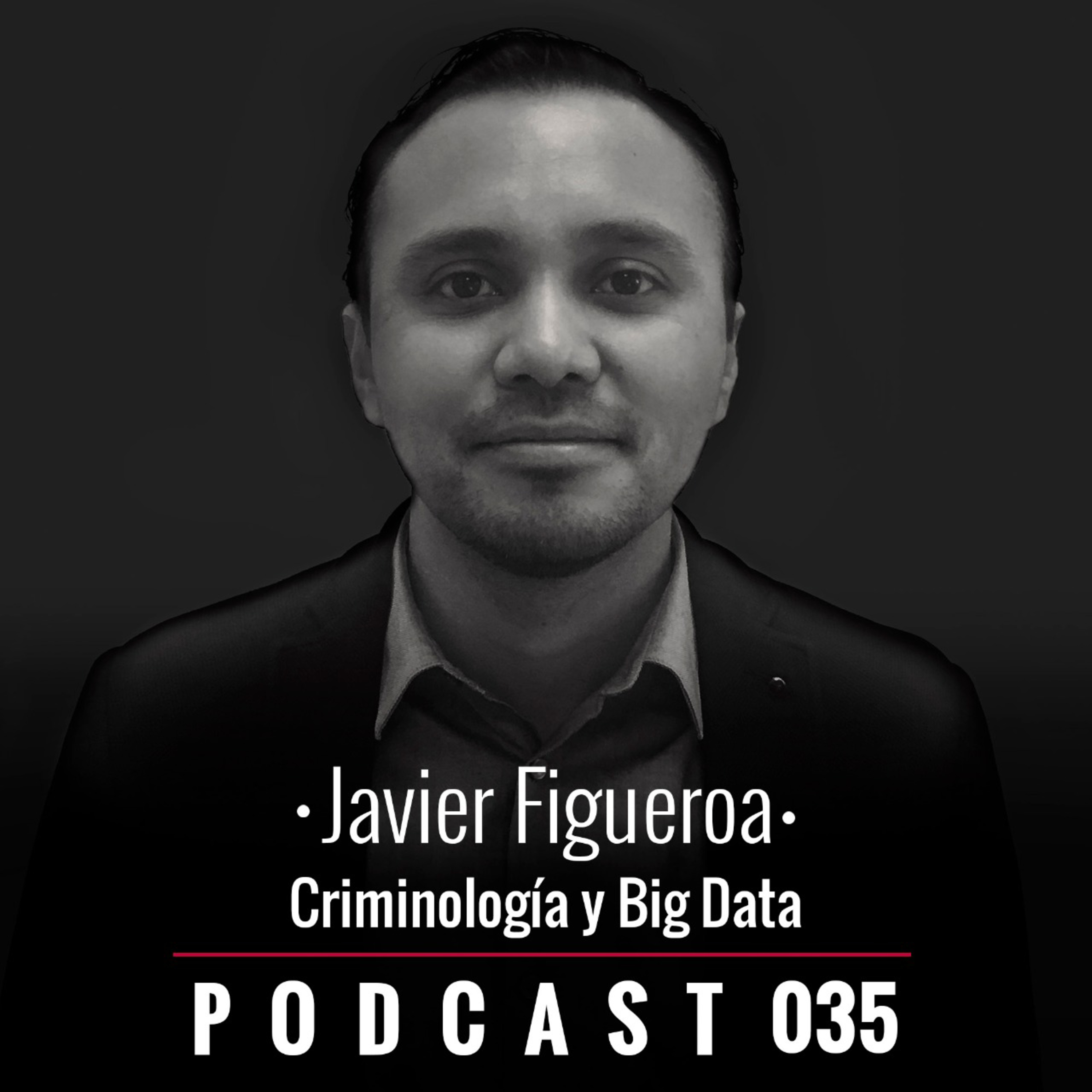 035. Criminología y Big Data