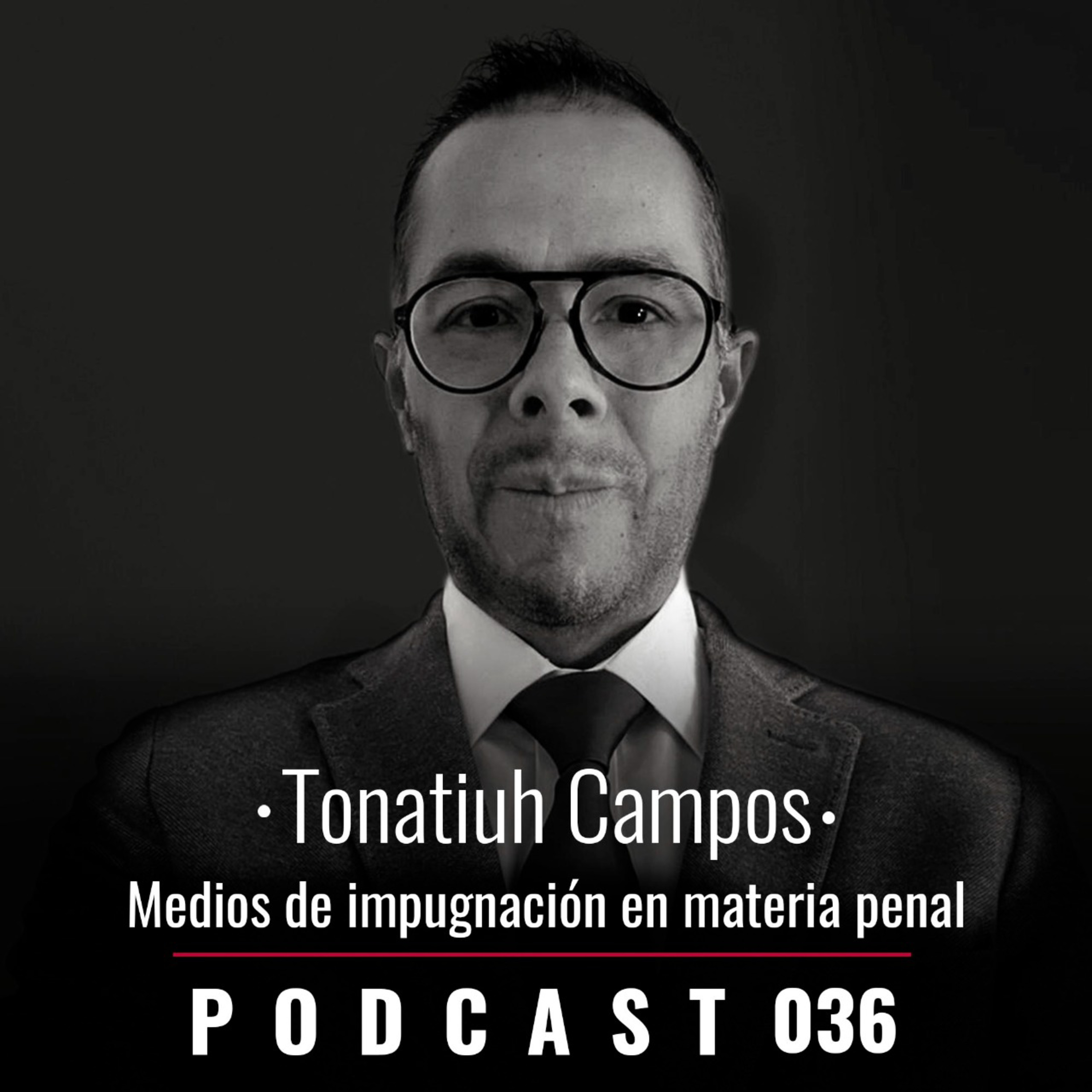 036. Medios de impugnación en materia penal