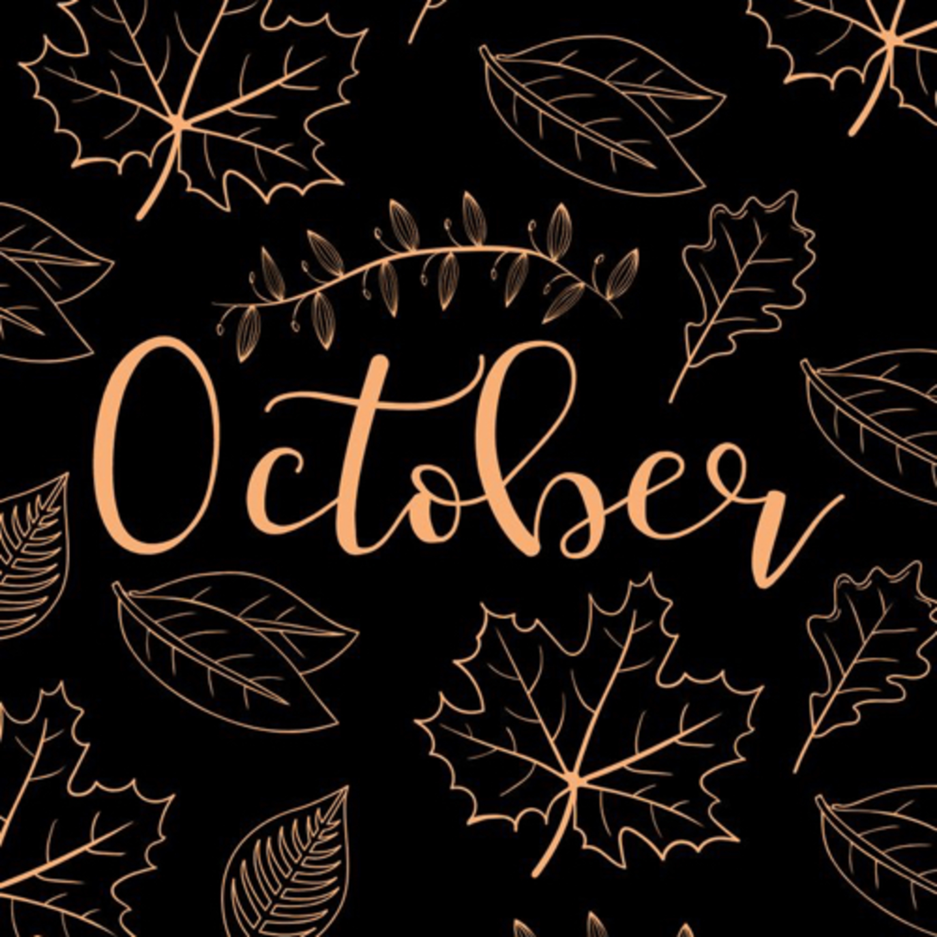 Self Love & Manifestation