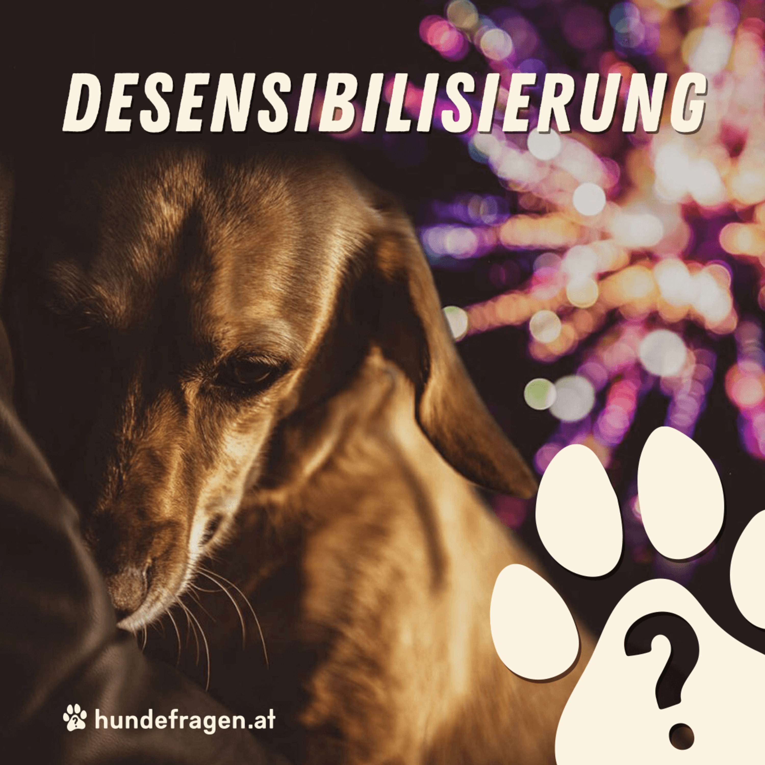 hundefragen Pawdcast | Der Pawdcast für alle Fragen rund um den Hund & Hundeerziehung