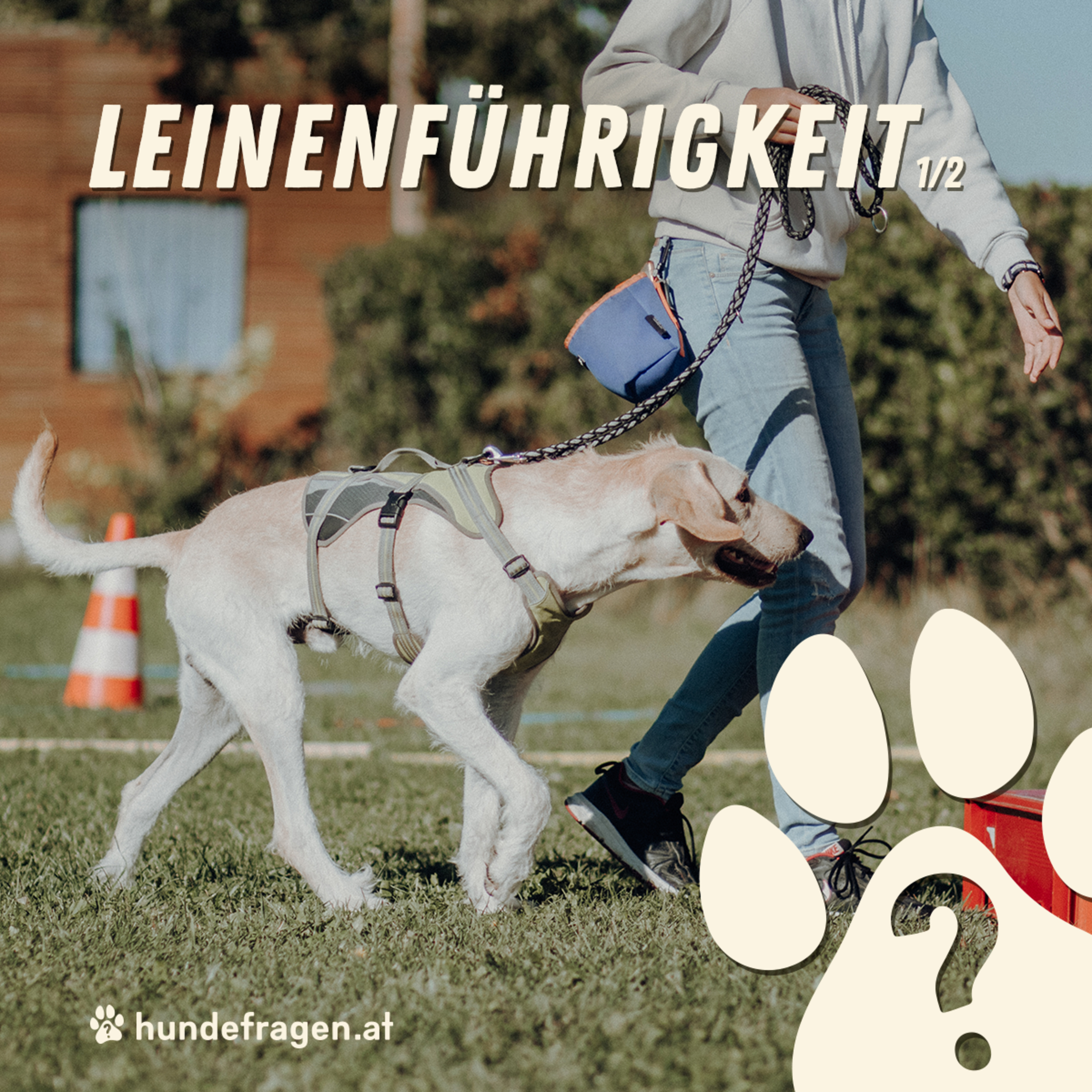 hundefragen Pawdcast | Der Pawdcast für alle Fragen rund um den Hund & Hundeerziehung