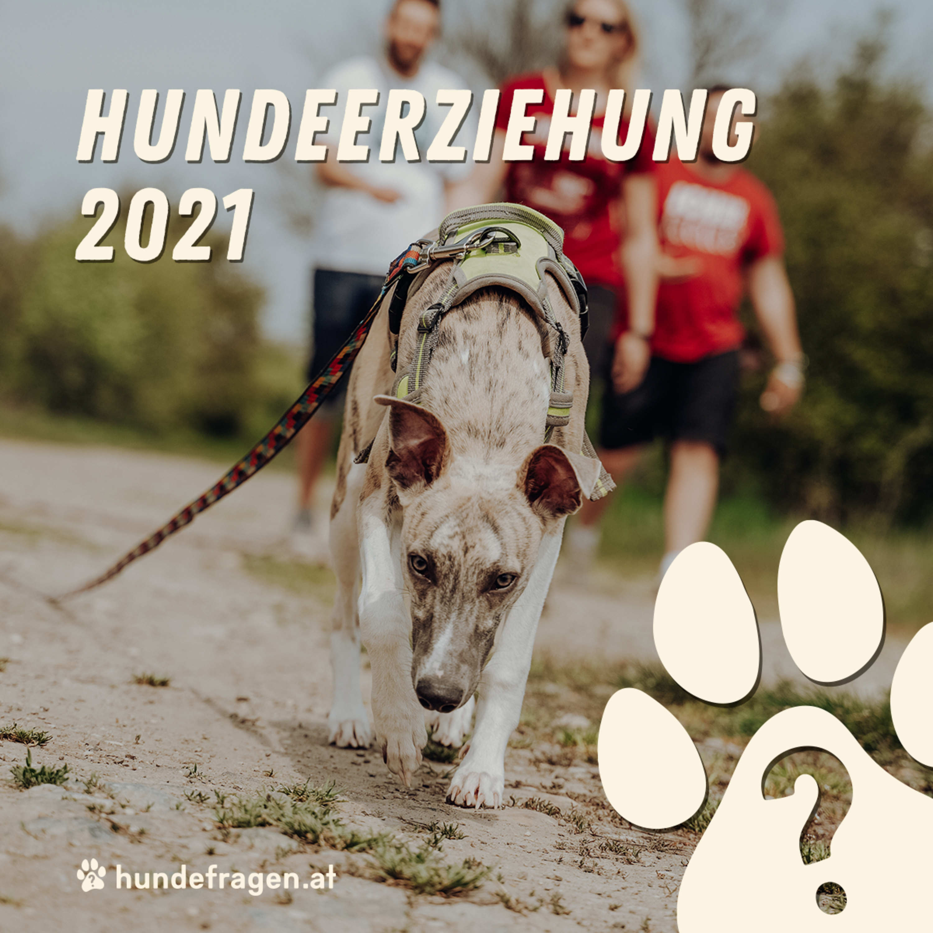 hundefragen Pawdcast | Der Pawdcast für alle Fragen rund um den Hund & Hundeerziehung