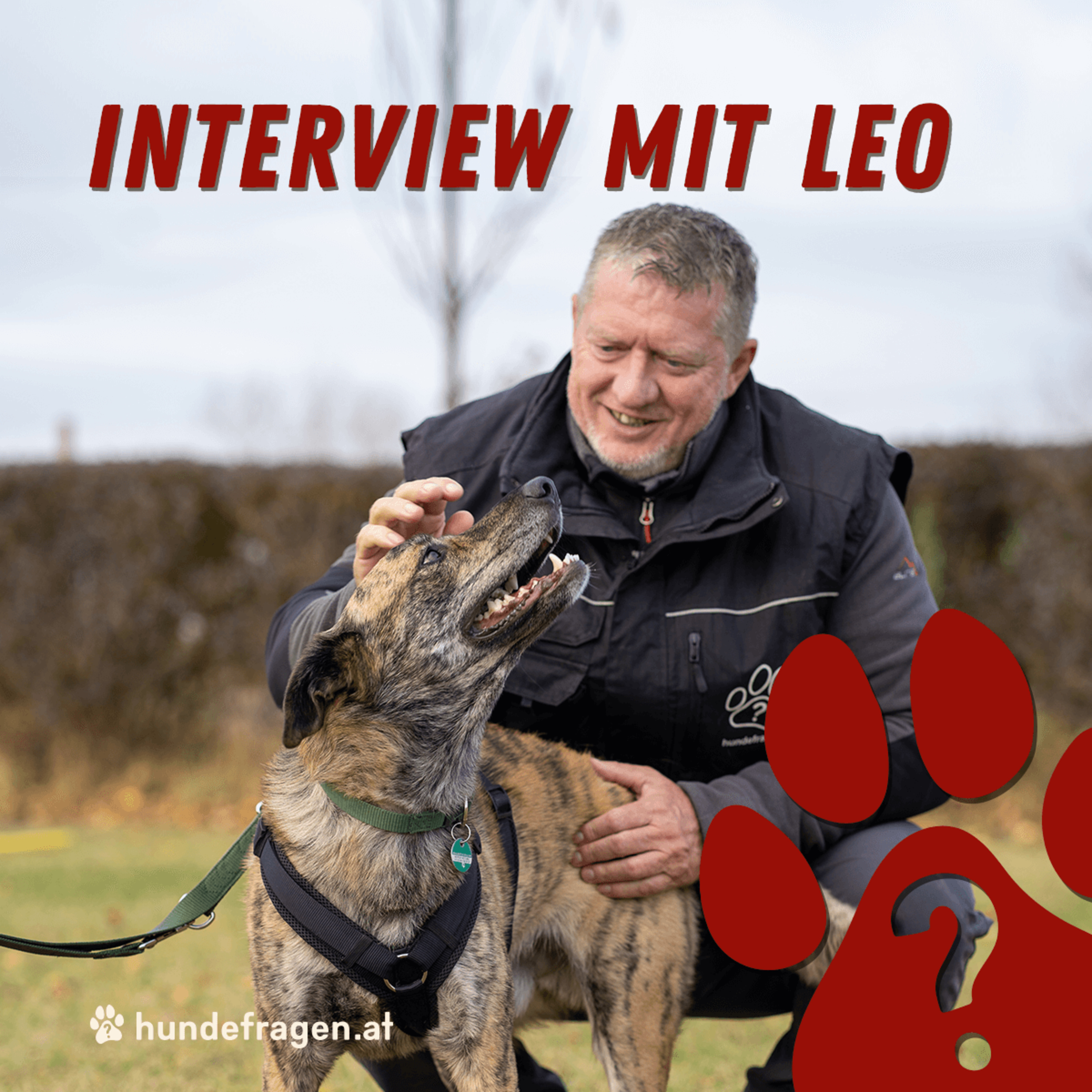 hundefragen Pawdcast | Der Pawdcast für alle Fragen rund um den Hund & Hundeerziehung