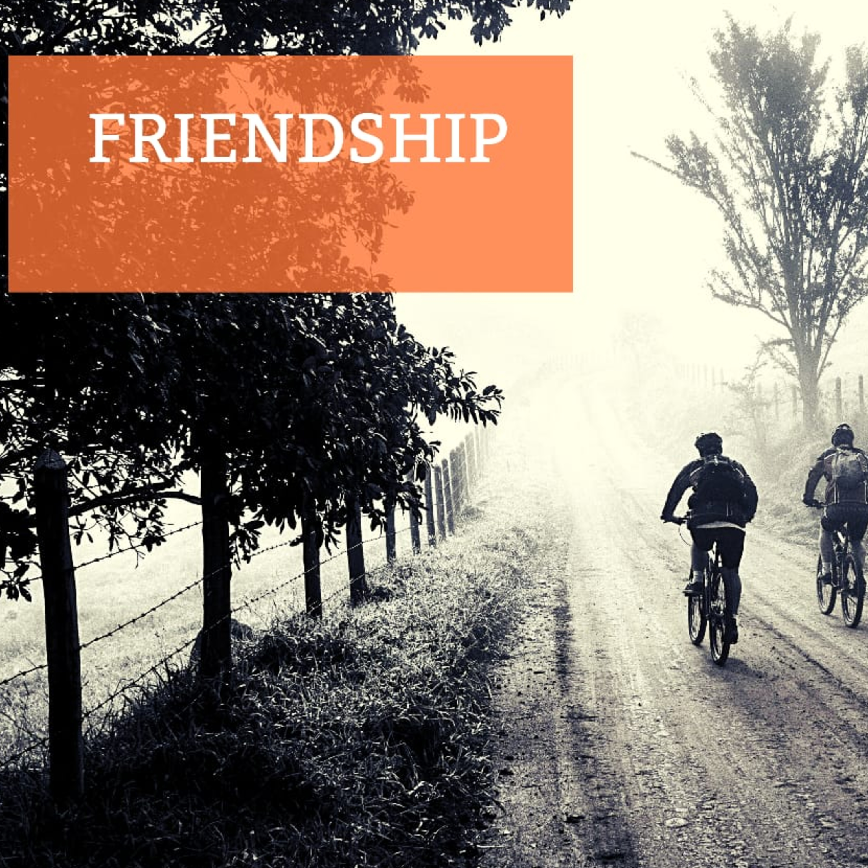 Episode 4 - Friendship episode artwork