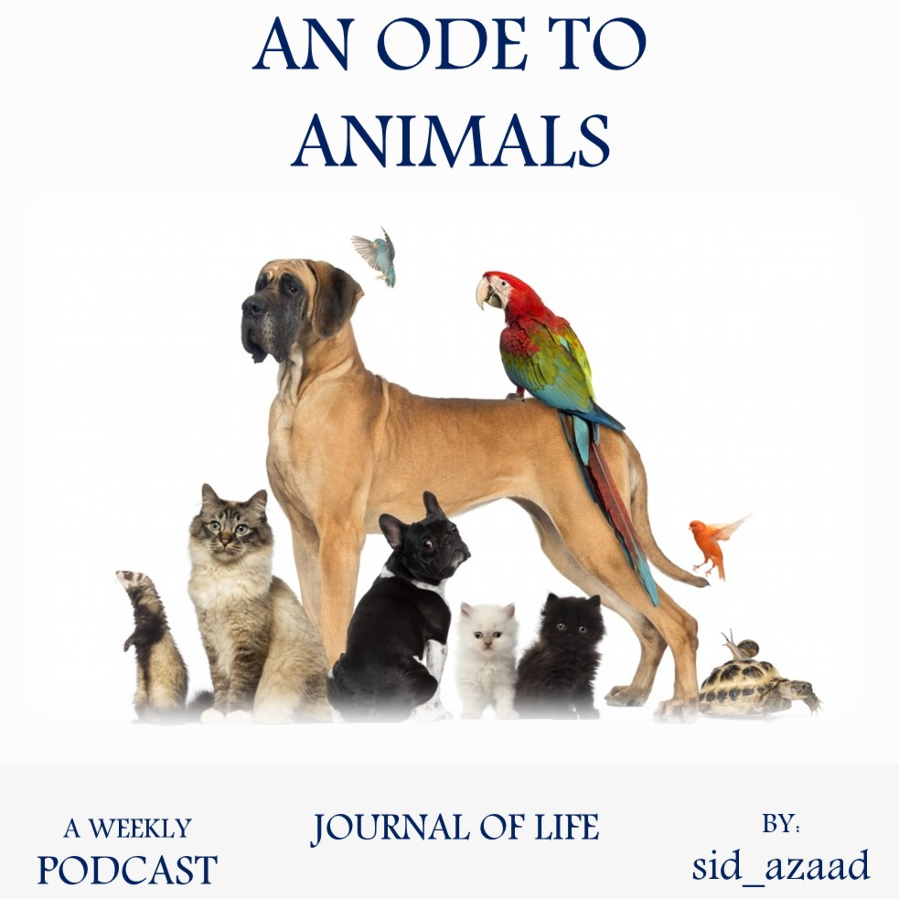 Episode 18 - An Ode to Animals episode artwork