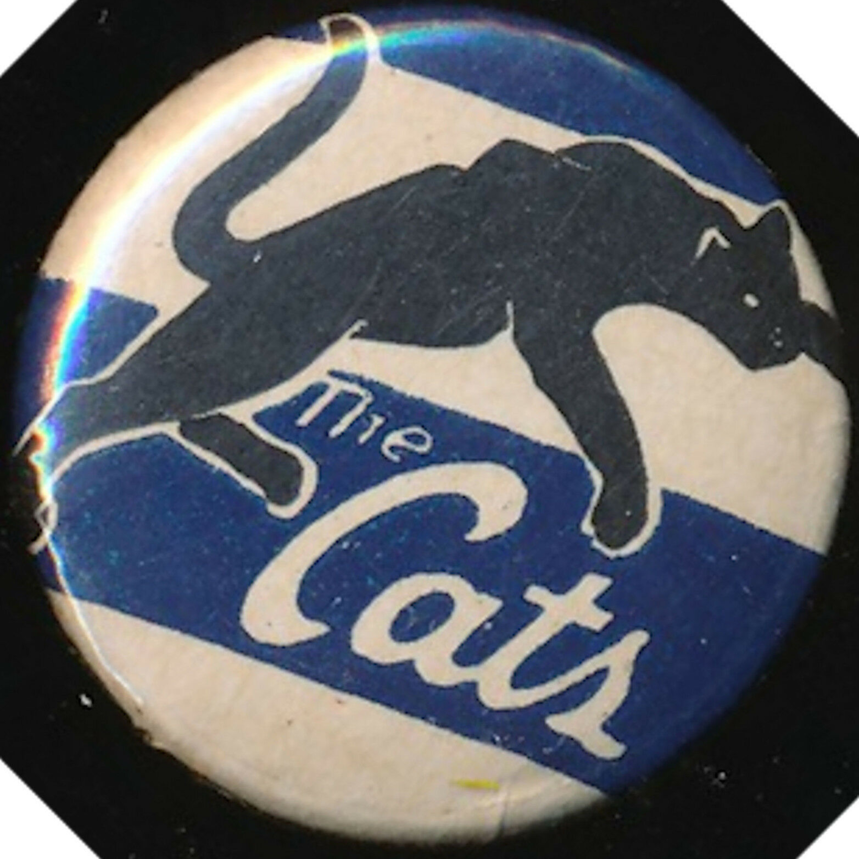 The Cats Whiskers Episode 2 2022